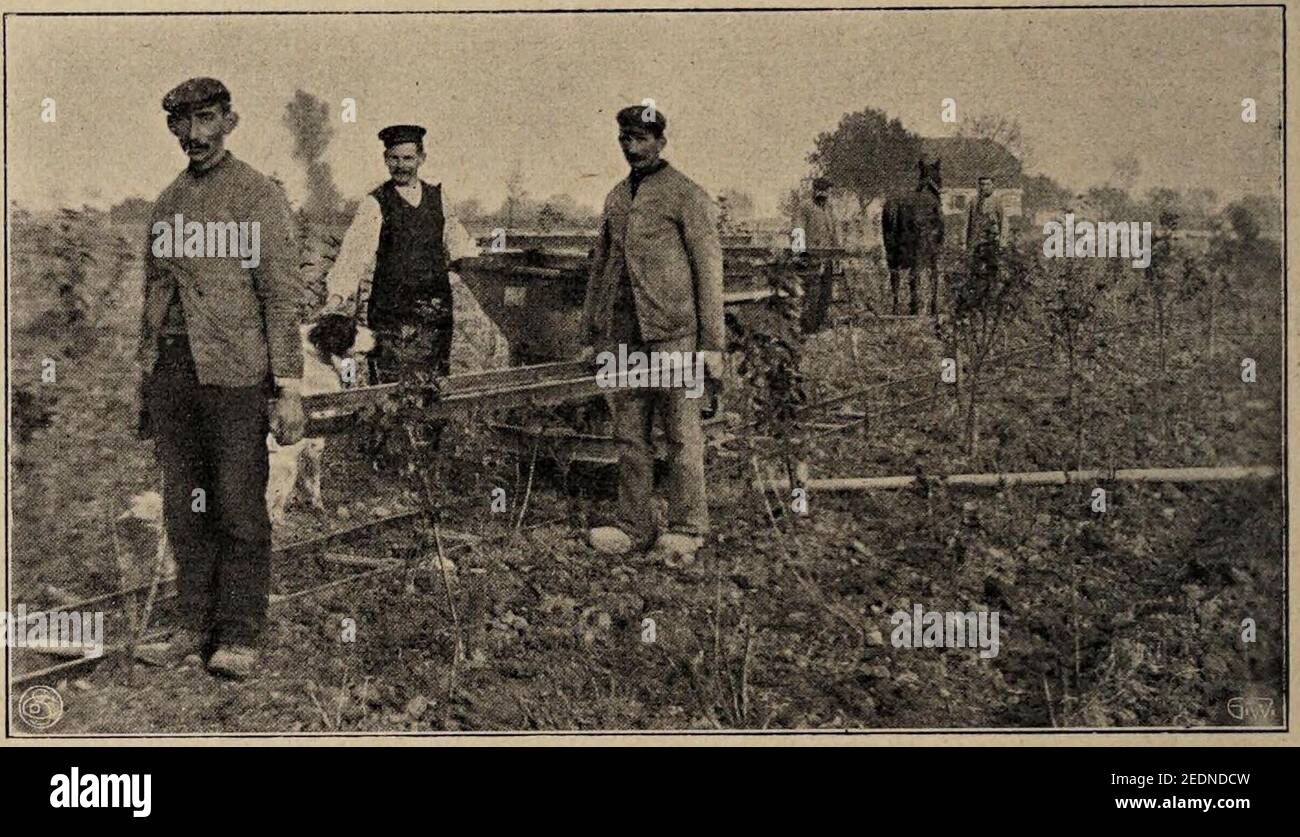 Obstplantage Wilhelm de Joncheere, Cleve am Niederrhein - Arbeiter beim Legen der Geleise. Foto Stock