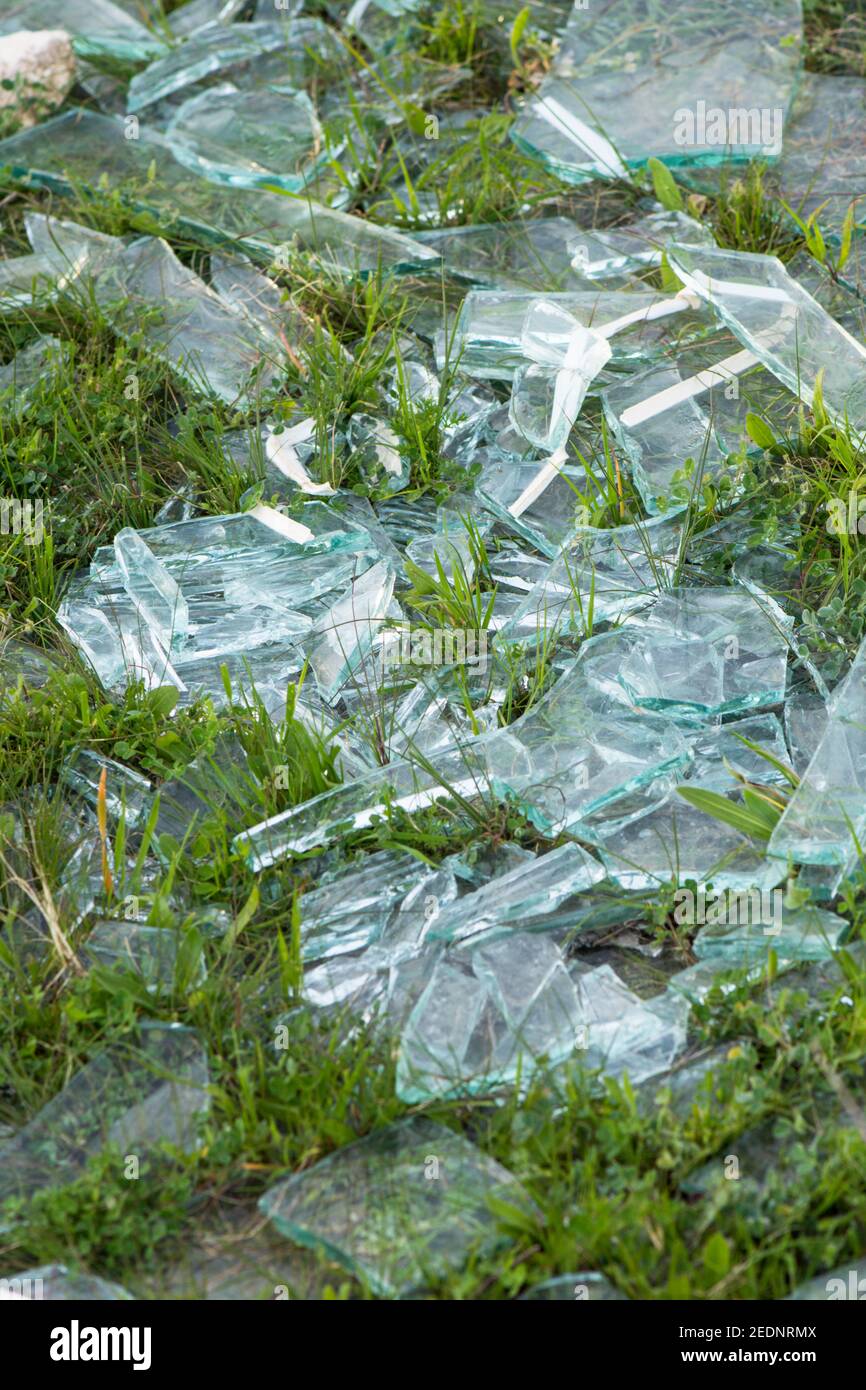 Pezzi di vetro frantumato rotto in campo erba. Foto Stock