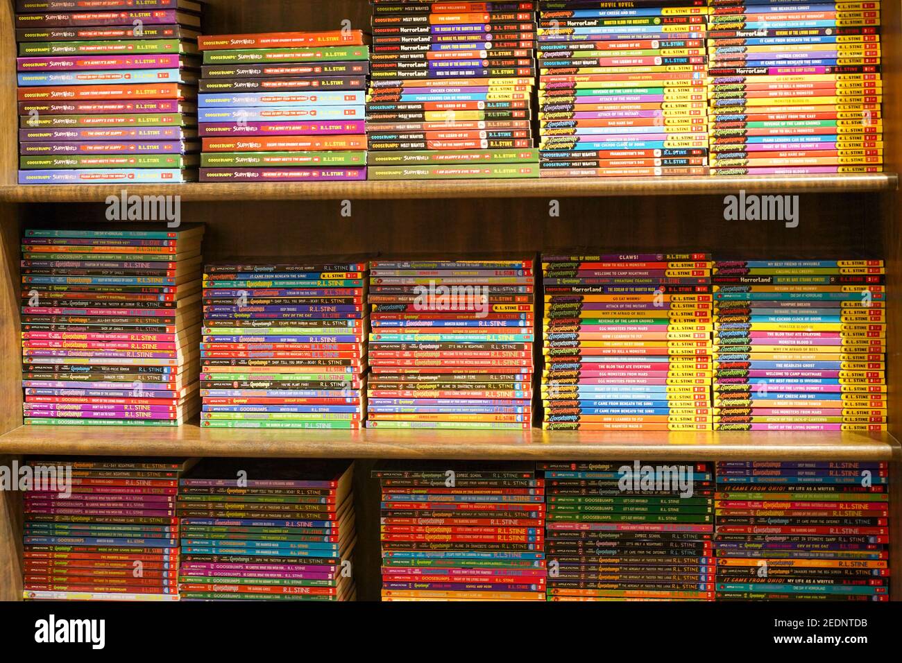Kolkata, India, febbraio 12.2021. Una foto di libreria con molti libri di storia colorati e romanzo grafico in vendita all'interno di un negozio di libri. Foto Stock