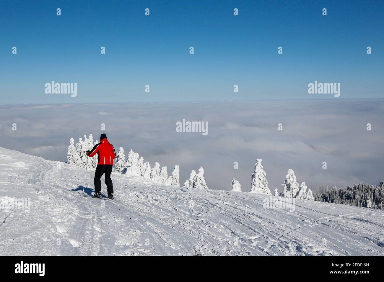 La stazione sciistica di Jahorina si trova vicino alla capitale bosniaca di Sarajevo. Sono disponibili 25 km di piste e 8 impianti di risalita per sciare e sciare Foto Stock