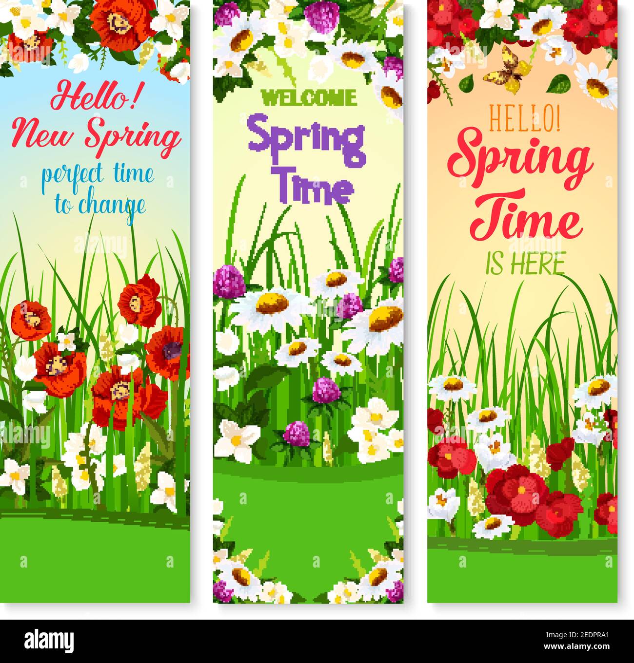 Banner vettoriali di auguri primaverili impostati con Hello Spring Wishes. Il disegno di festa dei fiori di papavero e di begonia in fiore, daisy o di daffodil e Illustrazione Vettoriale