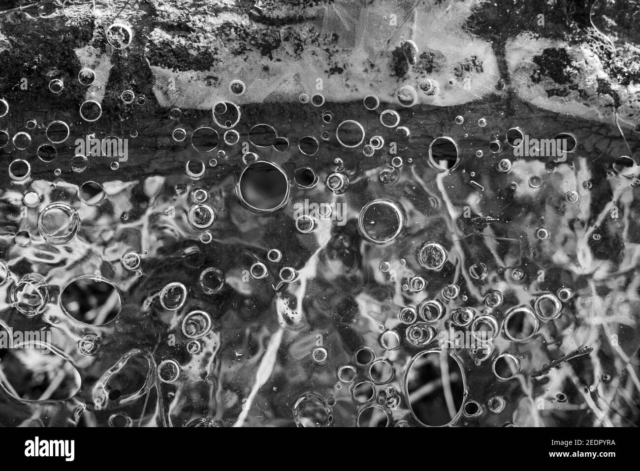 Alluvione a Koeln Germania Foto Stock