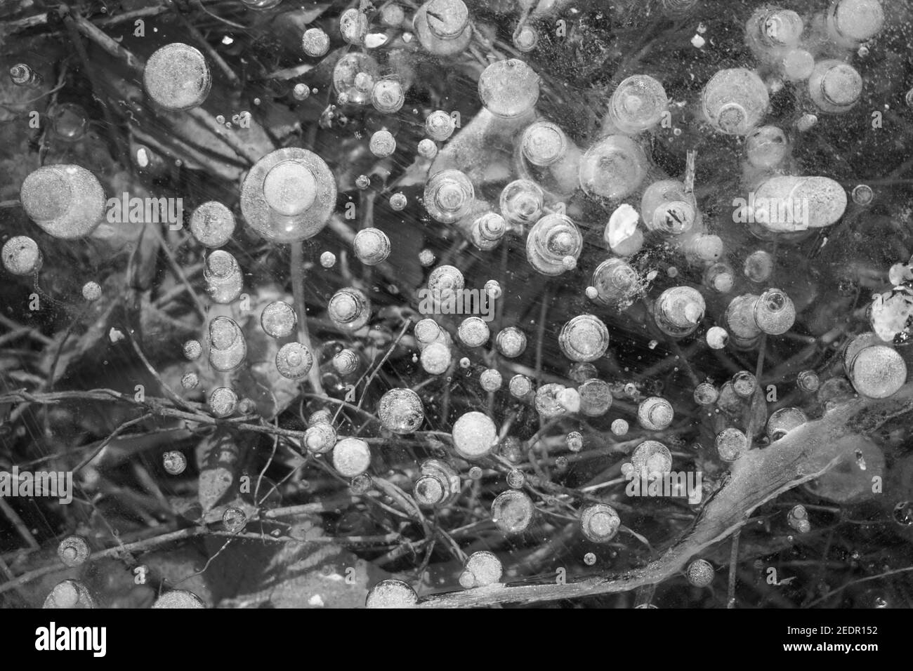 Alluvione a Koeln Germania Foto Stock