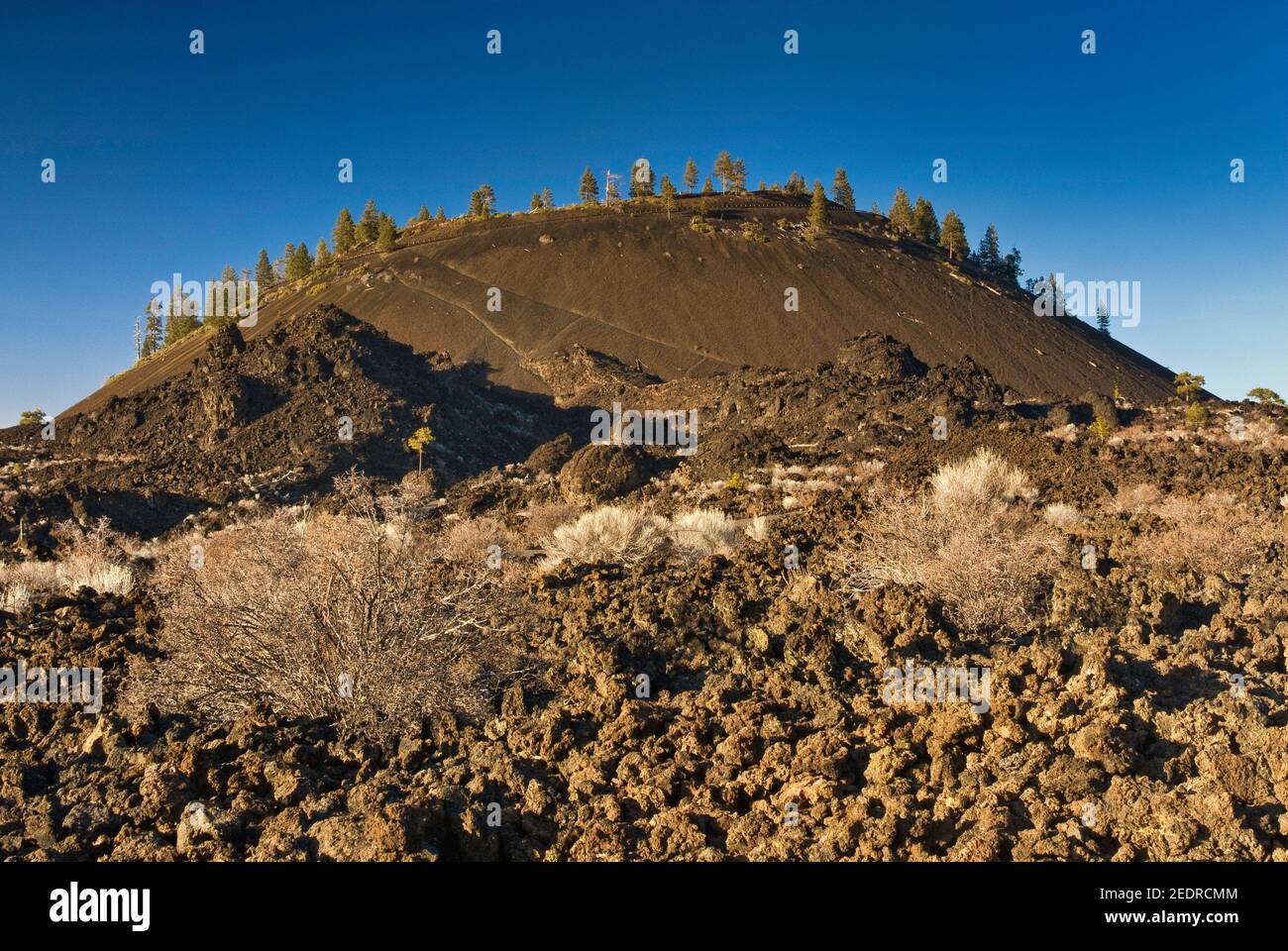 Vulcano lava Butte visto da Trail of the Molted Land al Newberry National Volcanic Monument, Oregon, Stati Uniti Foto Stock