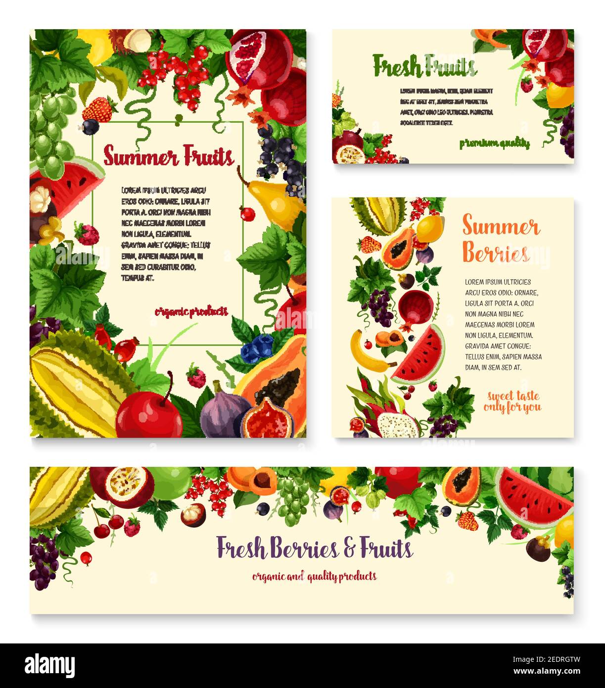 Striscioni di frutta e frutti di bosco. Mela, fragola e ciliegia, banana, uva e papaia, limone, anguria e pesca, pera, mirtillo e drago, pomegr Illustrazione Vettoriale