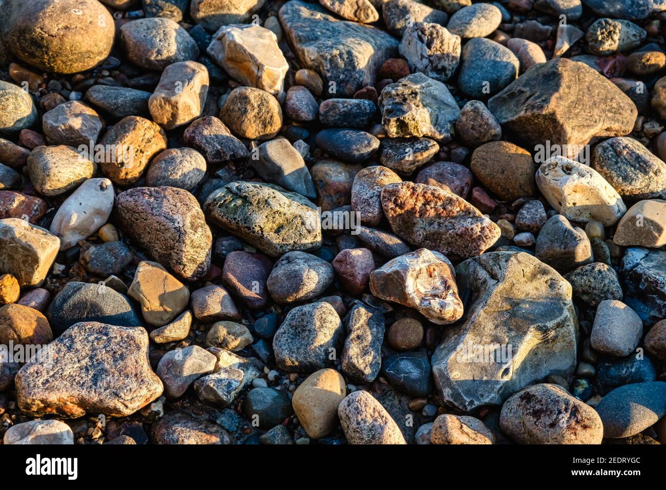 Pietre di ciottoli su una spiaggia al fiordo di Vejle, Danimarca Foto Stock