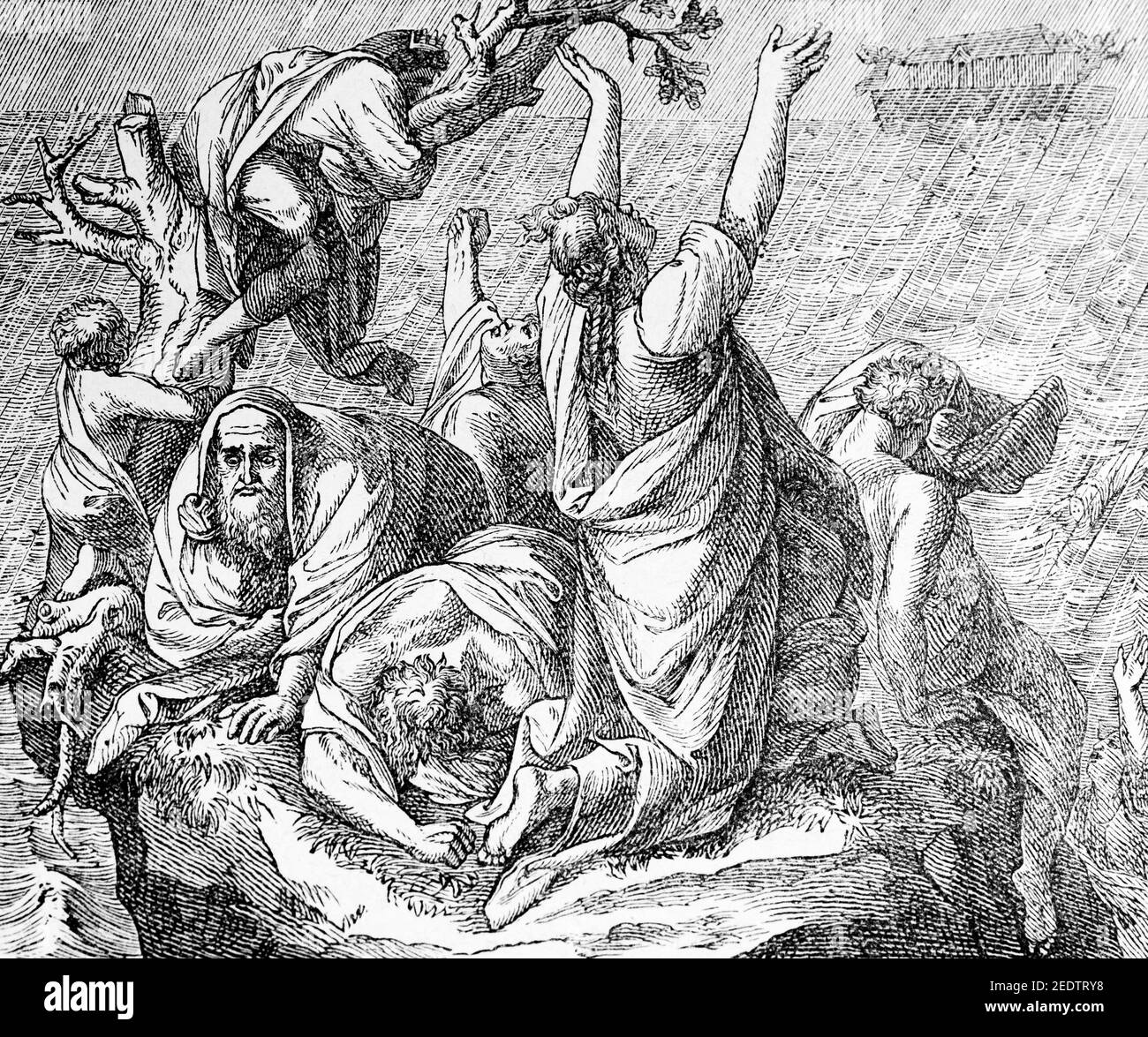 Corruzione dei primi, narrazione sull'alluvione, Histoire Biblique de L´Ancien Testamento, Friburgo, 1891 Foto Stock