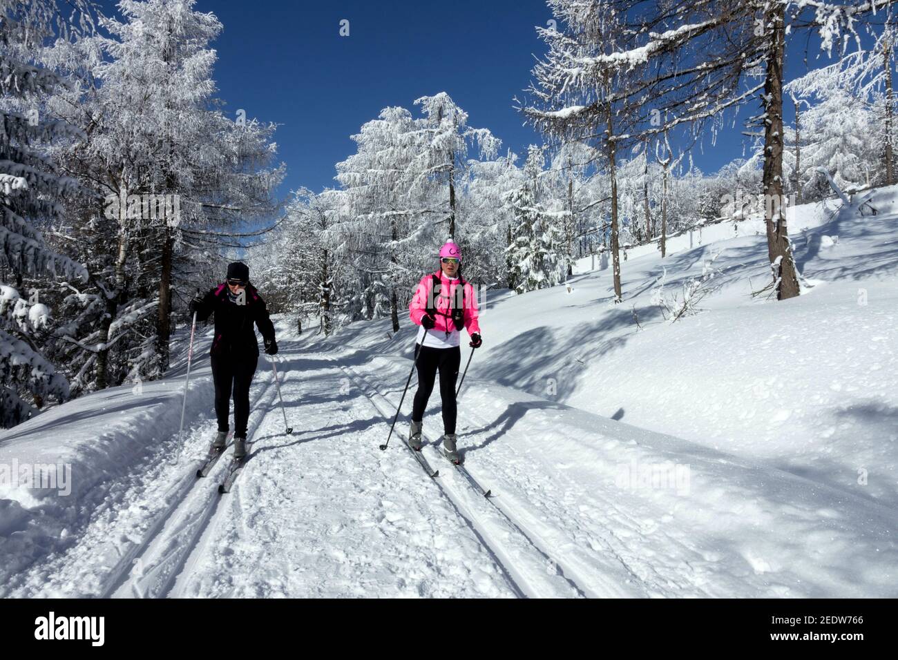 Sci di fondo donne in pista Repubblica Ceca sciare nelle montagne ceche scena invernale Krusne Hory innevato montagne Erzgebirge ore Foto Stock
