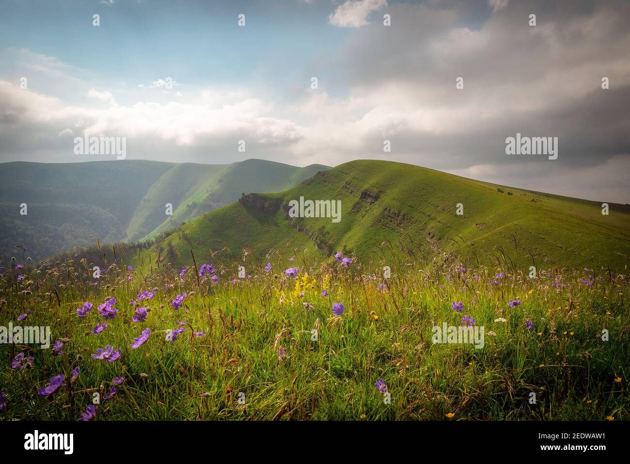 prato alpino con erba verde brillante illuminata dal sole e nuvole nel cielo Foto Stock