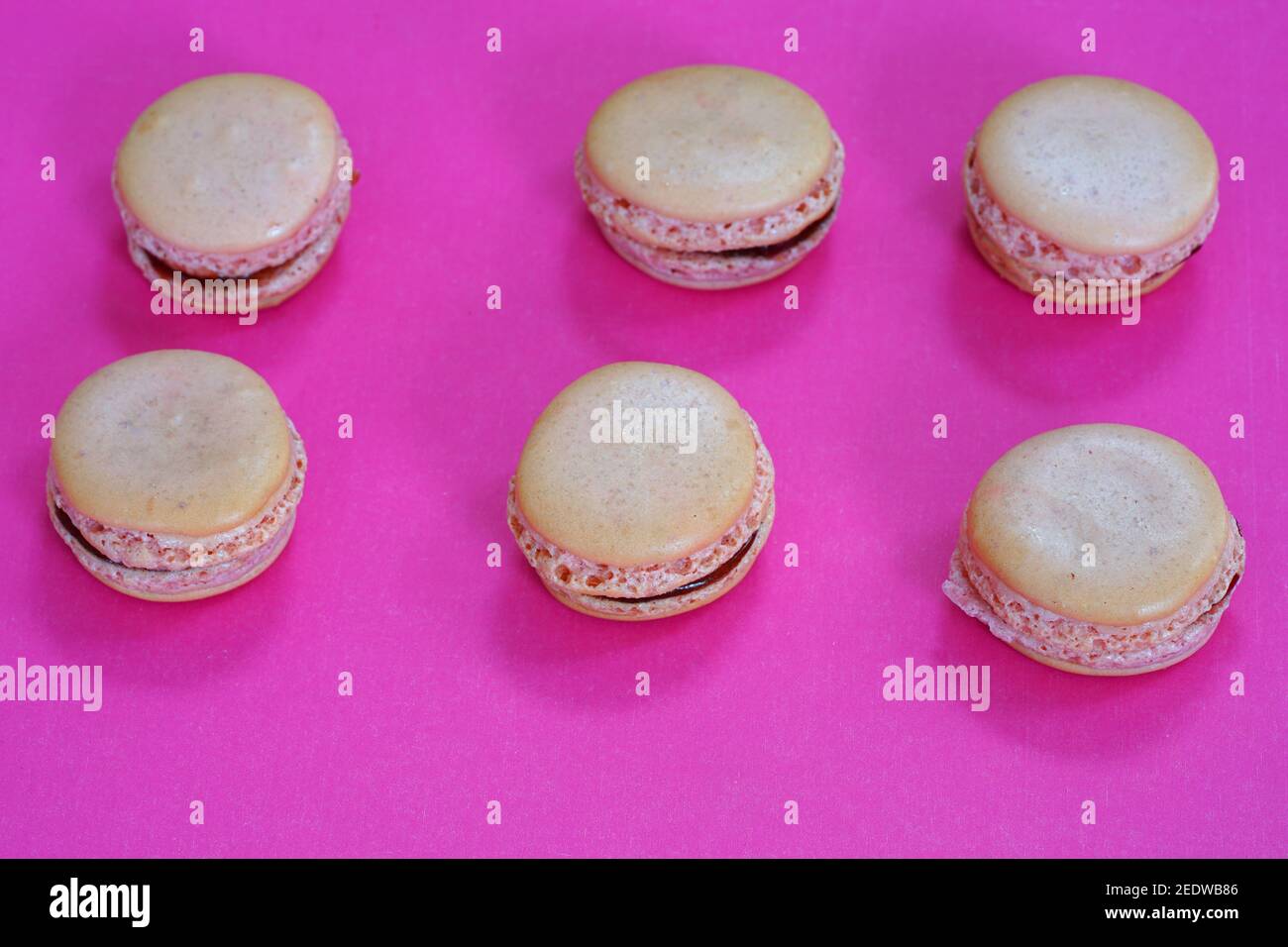 Biscotti fatti in casa di macaron di lamponi rosa Foto Stock