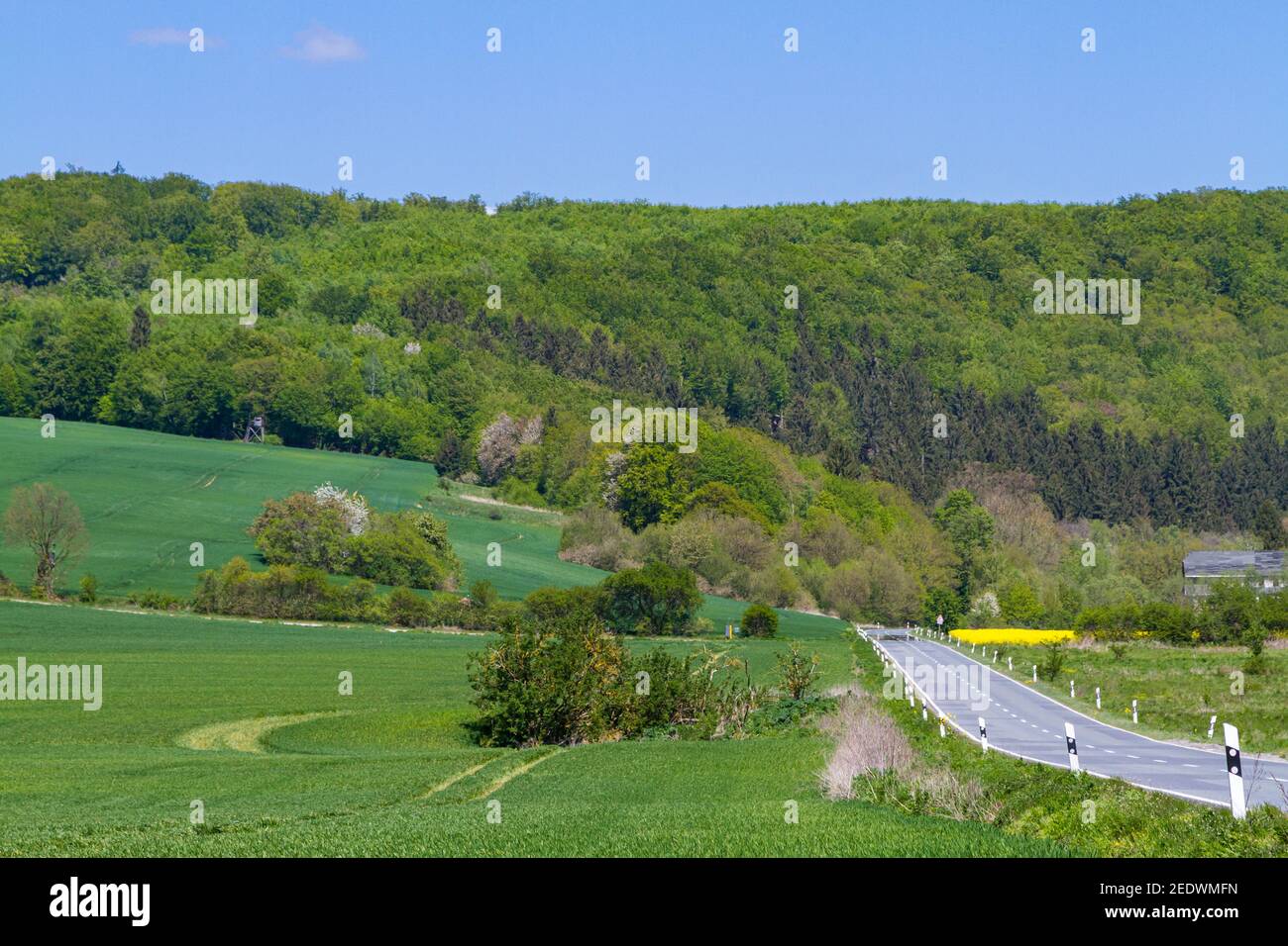 Harzer strasse immagini e fotografie stock ad alta risoluzione Alamy