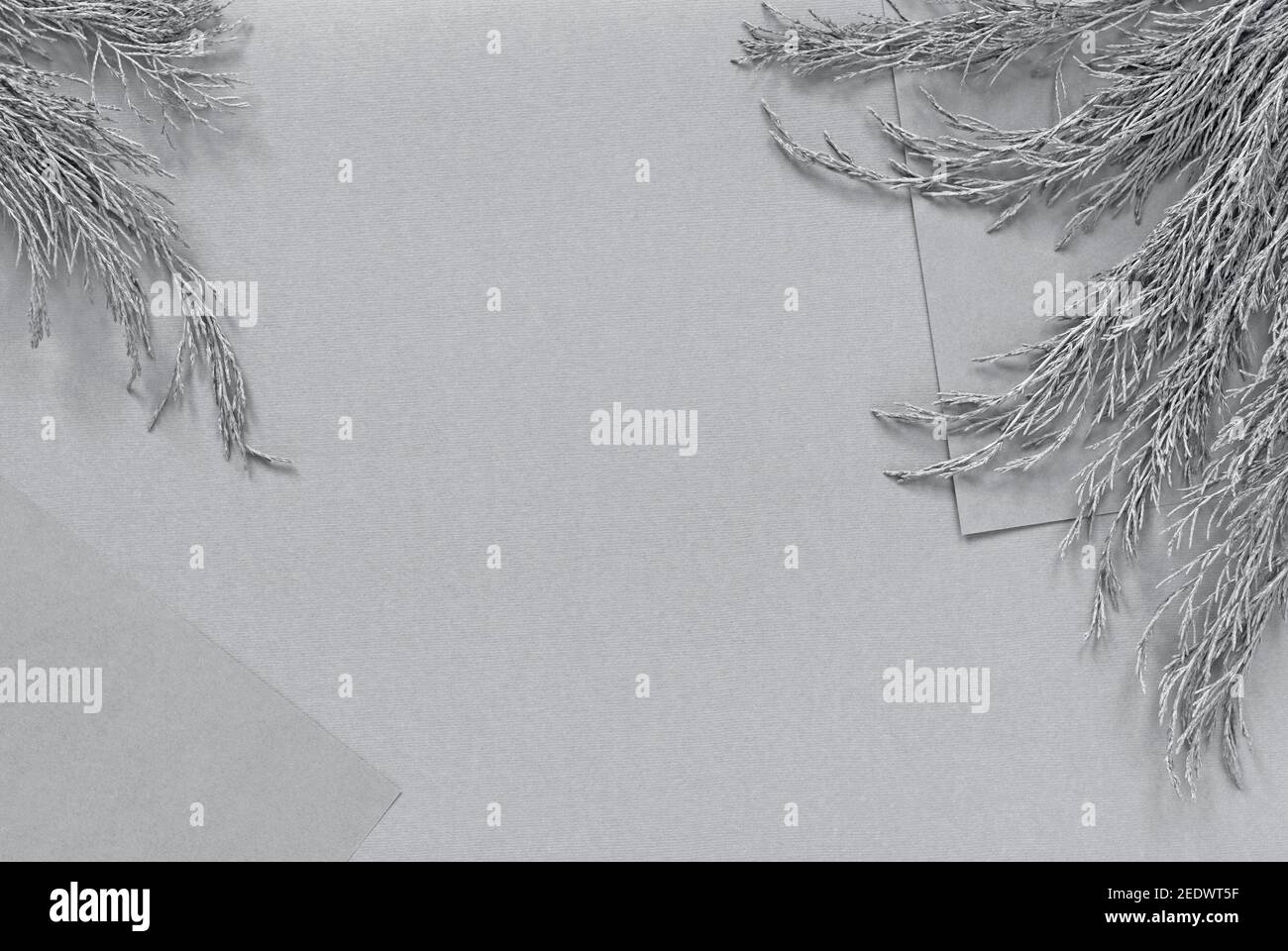 Layout modello grigio con piante e carta per il logo del marchio posizionamento Foto Stock