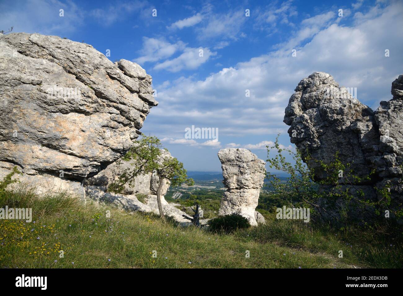 Formazioni rocciose erose tra le rocce di Mourres Forcalquier Alpes-de-Haute-Provence Provence Provence Francia Foto Stock