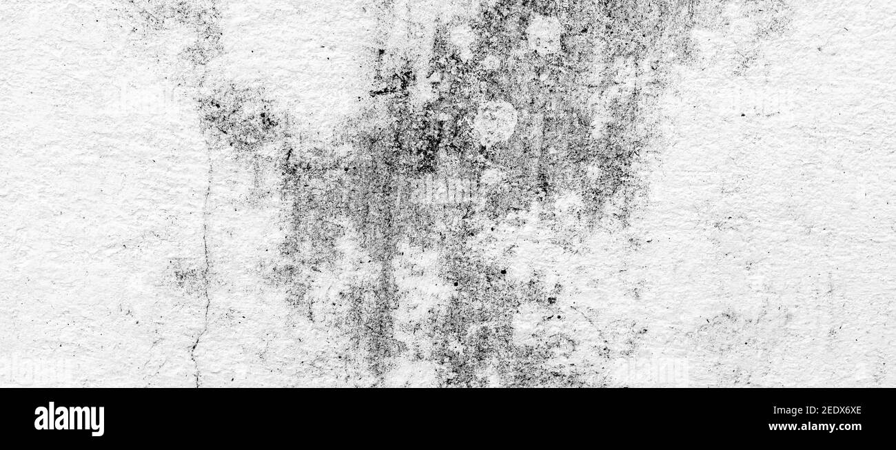 Struttura di parete di superficie in cemento e sfondo bianco Foto Stock