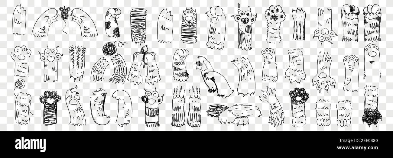 Zampe animali con set di tagliatella artigli. Raccolta di zampe disegnate a mano di gatti e cani di varie forme con artigli cercando di catturare il mouse e giocare isolati su sfondo trasparente in file Illustrazione Vettoriale