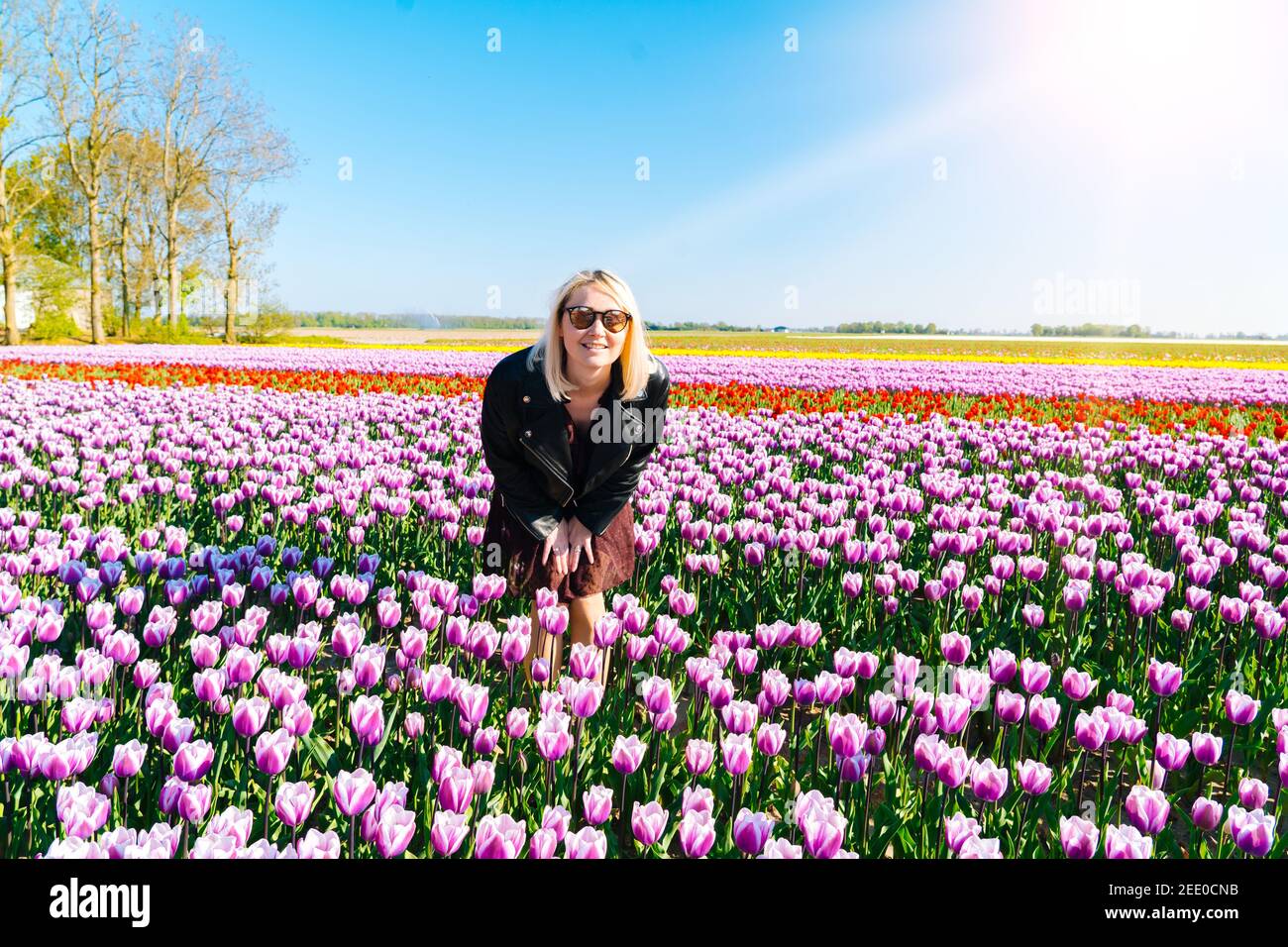 Bella Donna con capelli biondi in piedi in colorati campi di fiori di tulipano nella regione di Amsterdam, Olanda, Paesi Bassi. Magico paesaggio olandese con campo di tulipani in Holland Trevel e concetto di primavera. Foto Stock
