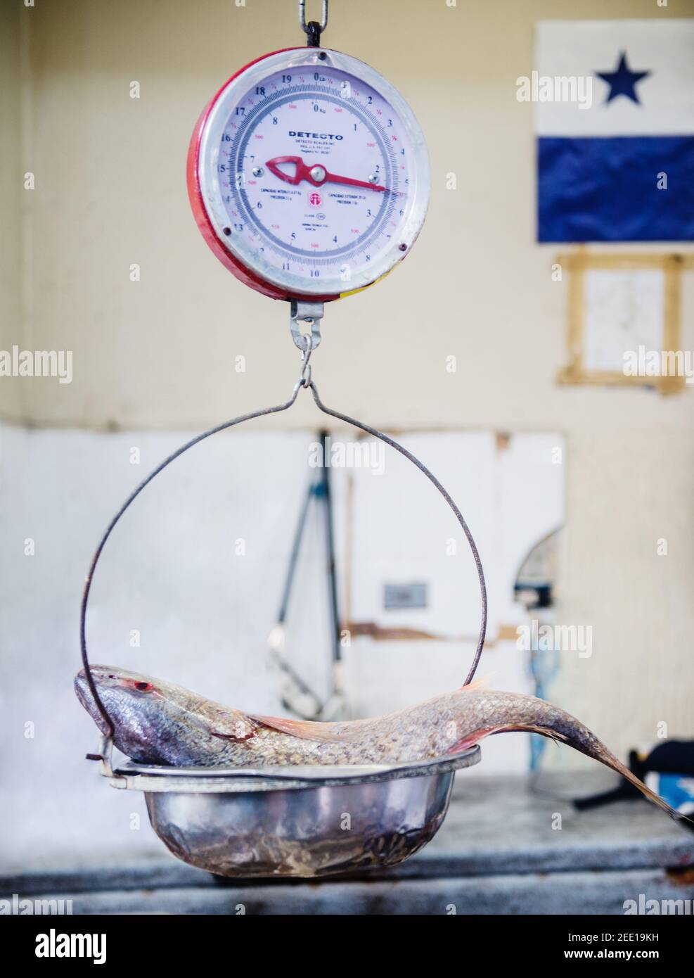 Pesce pesato al mercato, Panama City, Panama, America Centrale Foto Stock