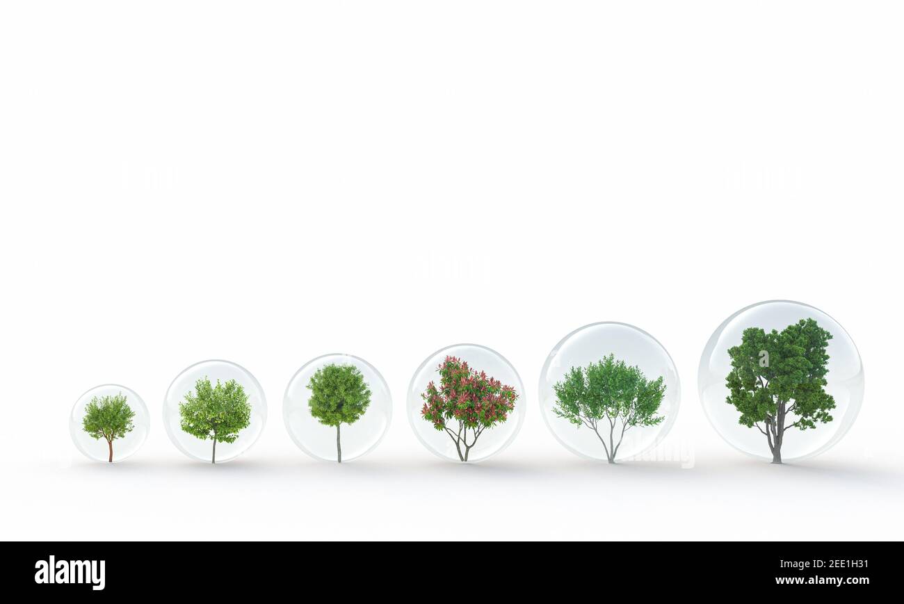 diversi tipi di albero protetti in sfere di vetro. rendering 3d. concetto di conservazione ambientale. Foto Stock