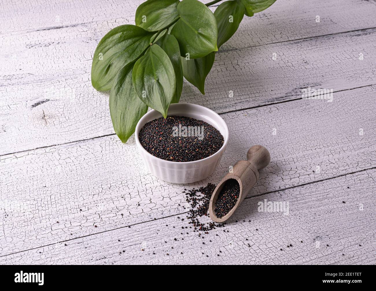 Semi neri di quinoa peruviana crudi in ciotola bianca e paletta di legno con semi su tavola di legno bianco. Pochi semi sono sparsi intorno. Foglie verdi sul dorso Foto Stock