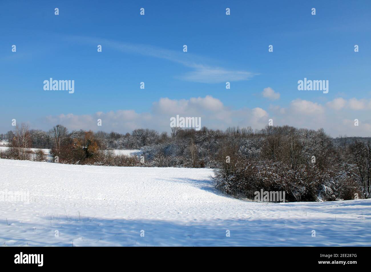 Febbraio natura scene invernali dei dintorni di Zagabria, Croazia Foto Stock