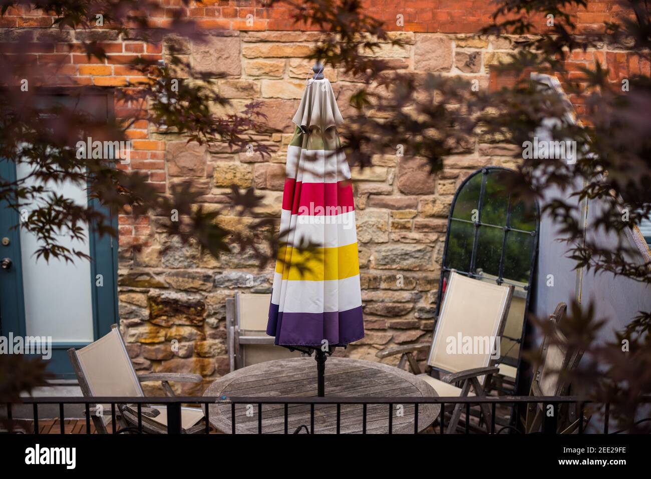 Hudson Bay Umbrella foglie d'acero autunnali Foto Stock