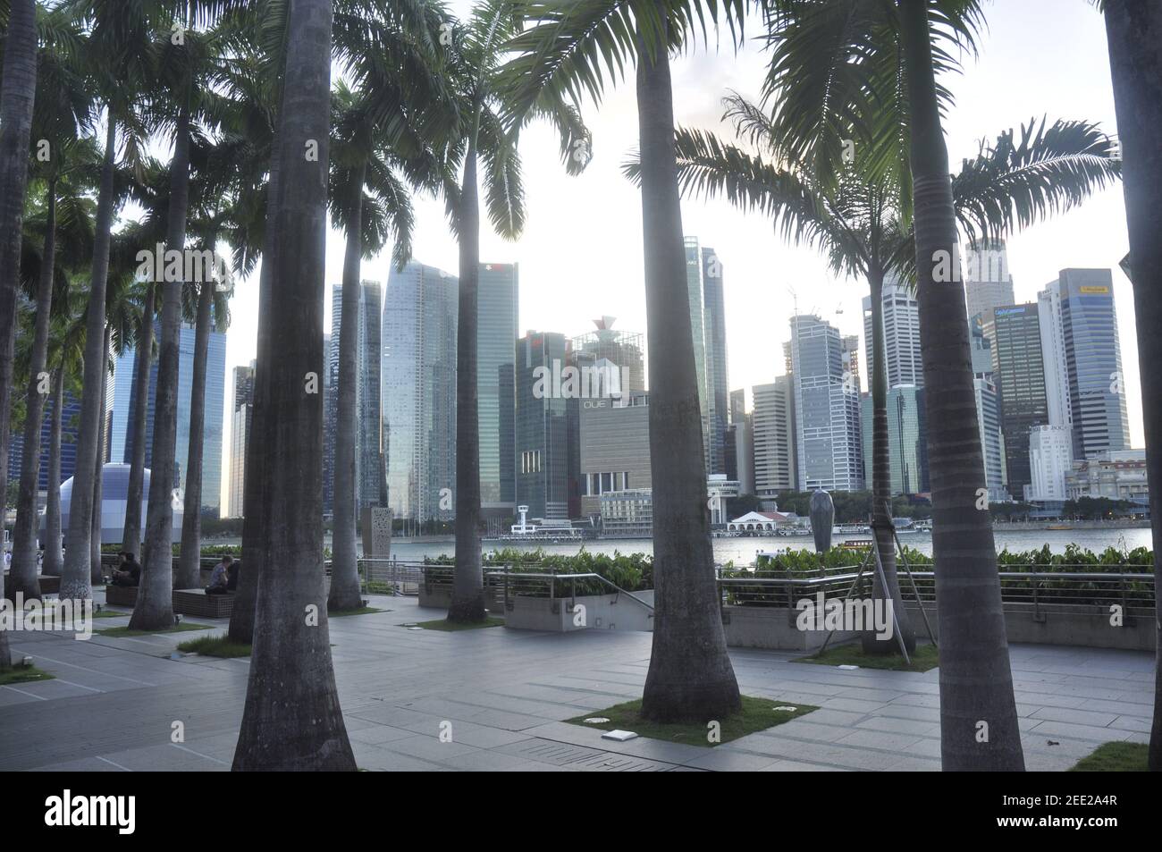 Skyline di Singapore (febbraio 2020) Foto Stock
