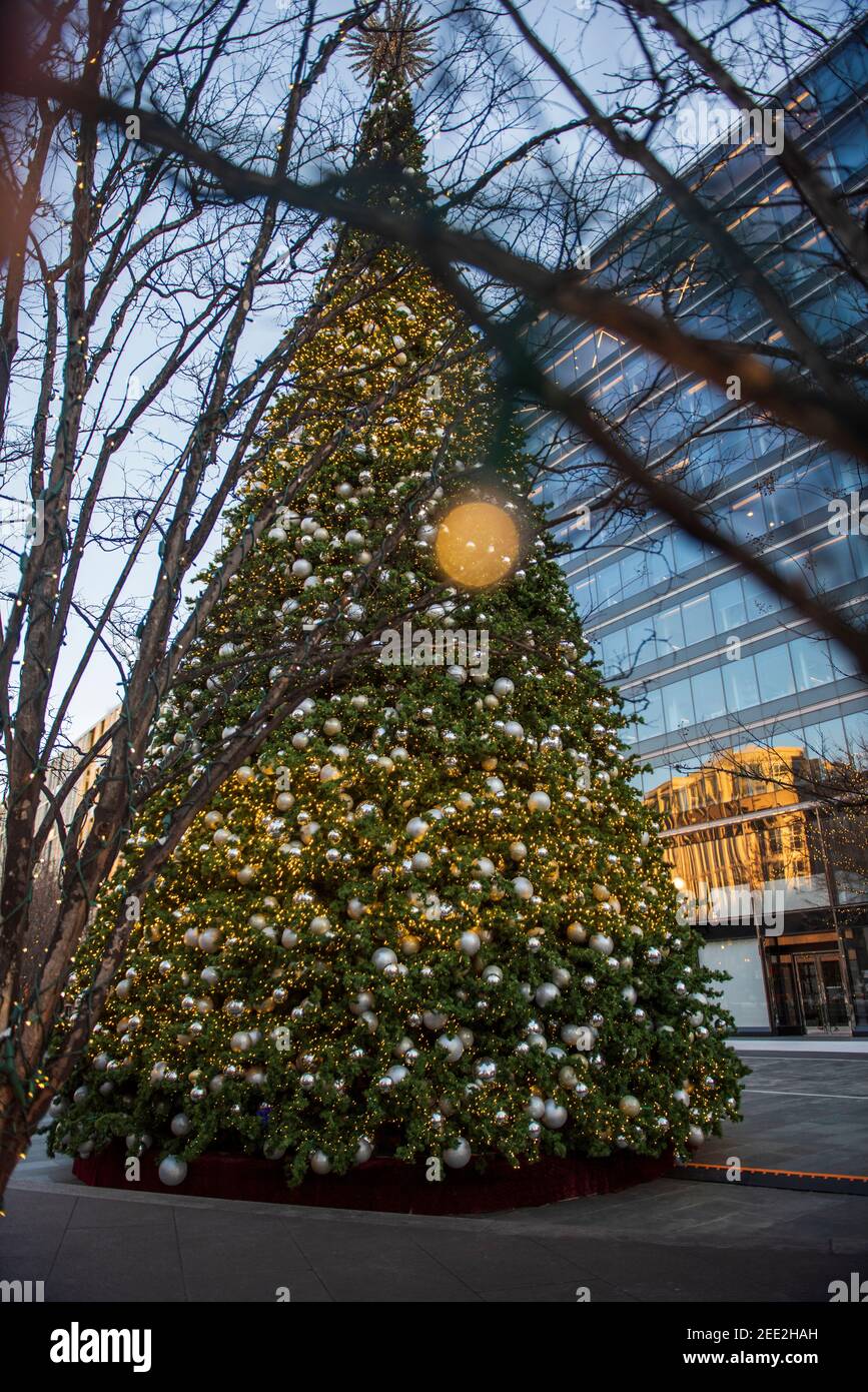 Un grande albero di Natale nel Washington DC City Center è decorato con luci e ornamenti per la stagione delle vacanze invernali. Foto Stock