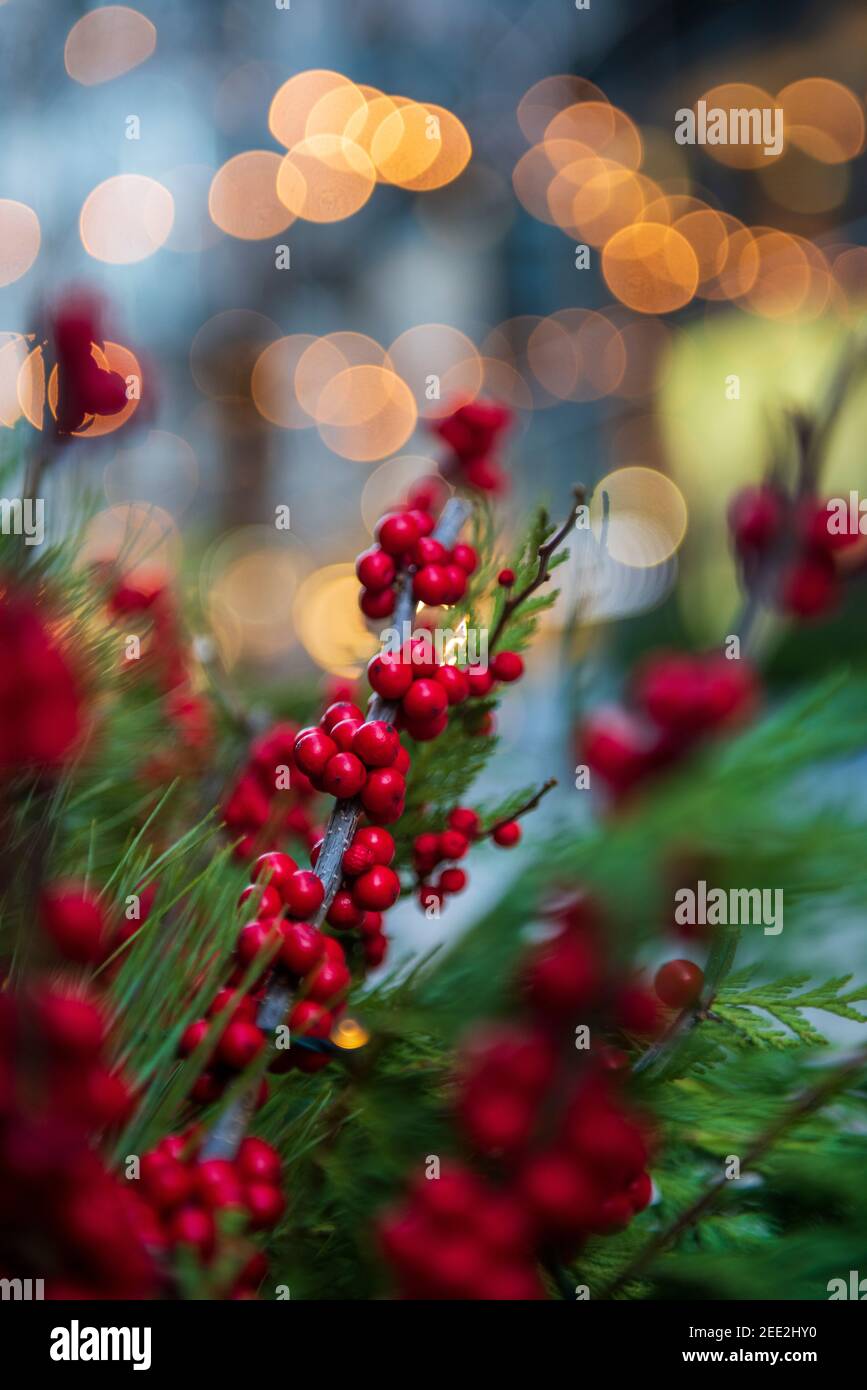 Belle bacche rosse e bocce di pino adornano decorazioni per le vacanze in un'area commerciale all'aperto a Washington DC. Foto Stock