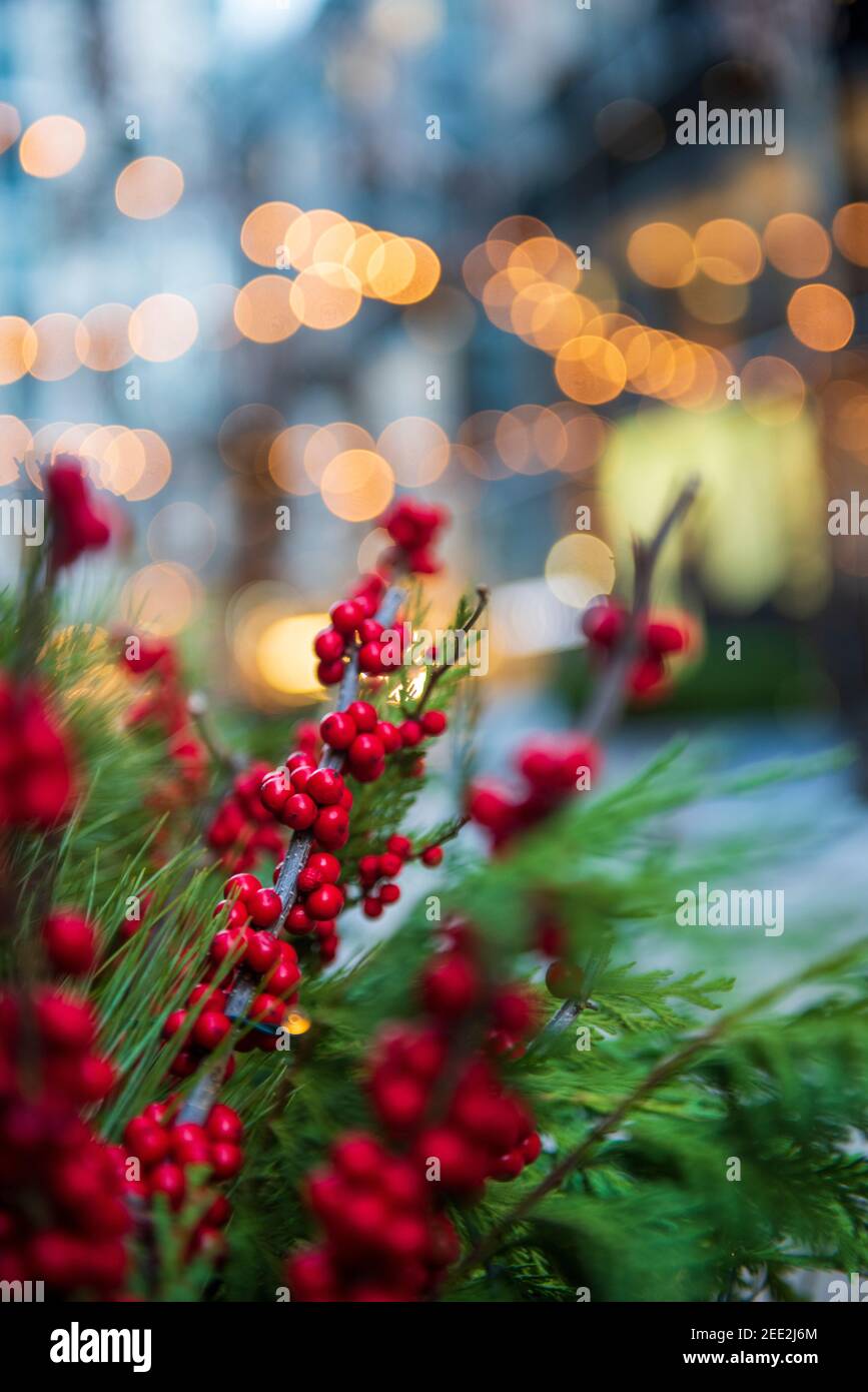 Belle bacche rosse e bocce di pino adornano decorazioni per le vacanze in un'area commerciale all'aperto a Washington DC. Foto Stock