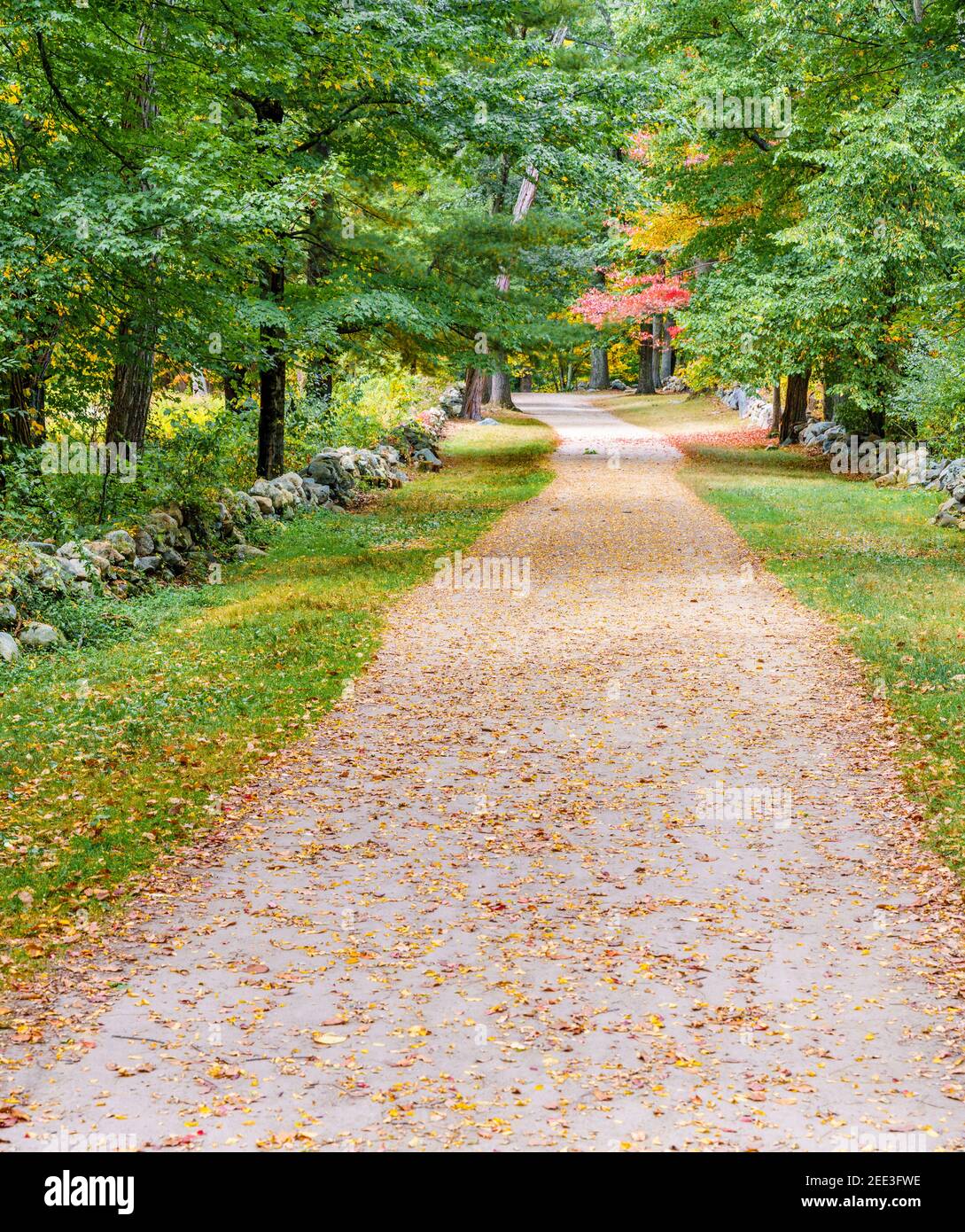 Storico Battle Road Trail nel Minute Man National Historical Park, Lincoln, Massachusetts Foto Stock