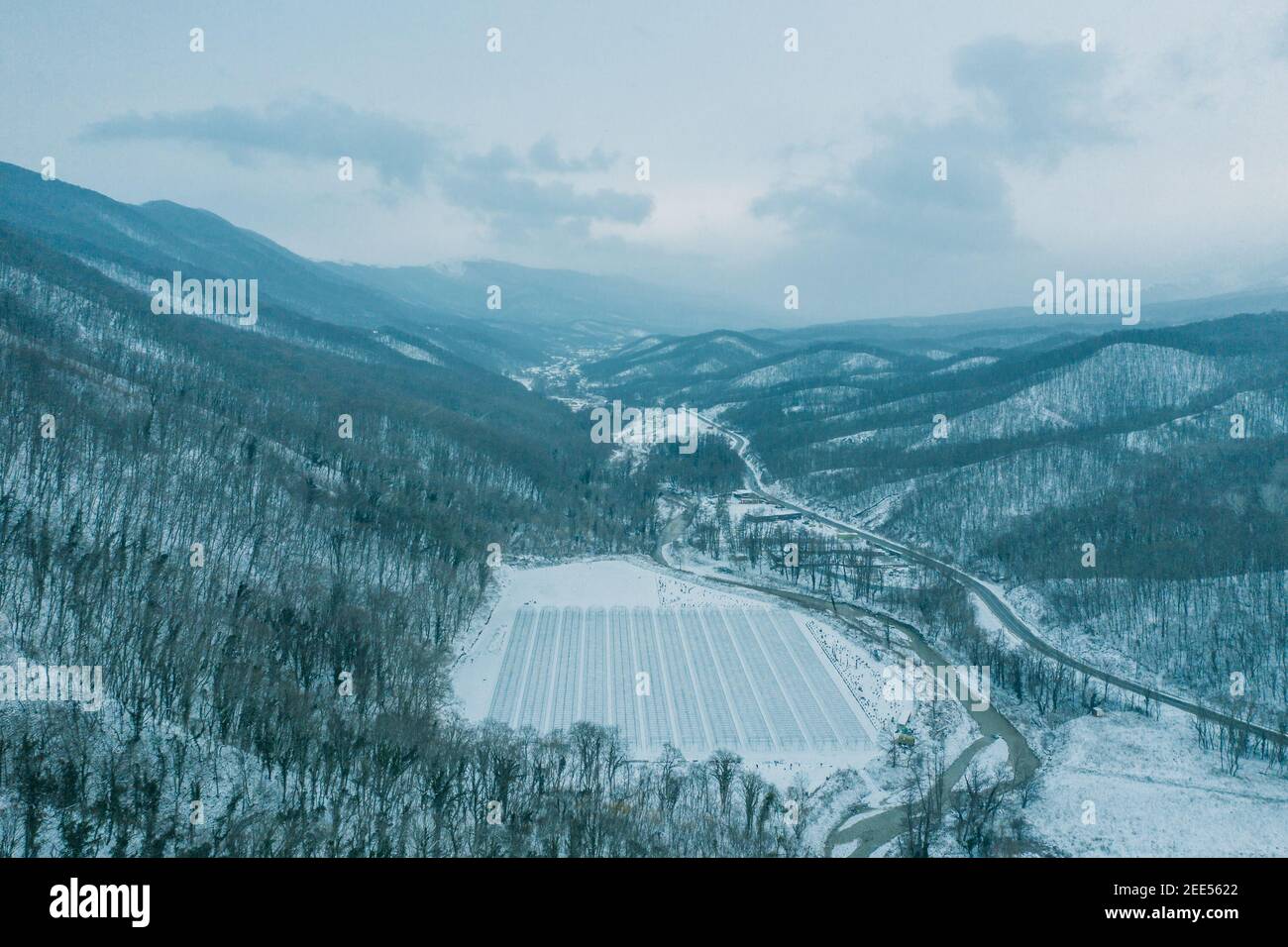 Vista aerea dal drone sopra la gola di montagna tra le vette in inverno in tempo nevoso. Foto Stock
