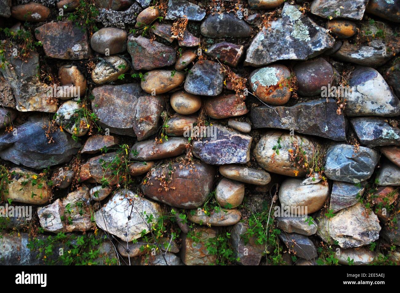 Muro di roccia, campagna, vicino a Vila Velha de Rodão, Portogallo Foto Stock