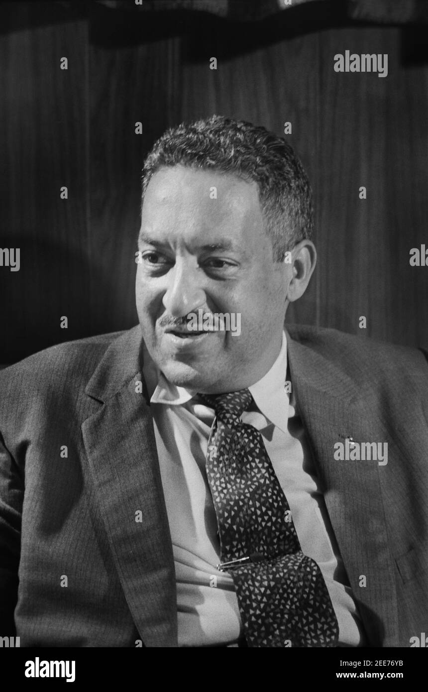 Thurgood Marshall, avvocato del NAACP, Ritratto a mezza lunghezza, Thomas J. o'Halloran, 17 settembre 1957 Foto Stock