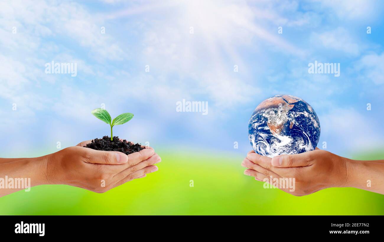 Scambio di pianeti nelle mani degli esseri umani con piante giovani nelle mani degli esseri umani, concetto di Giornata della Terra e conservazione dell'ambiente.elementi Foto Stock