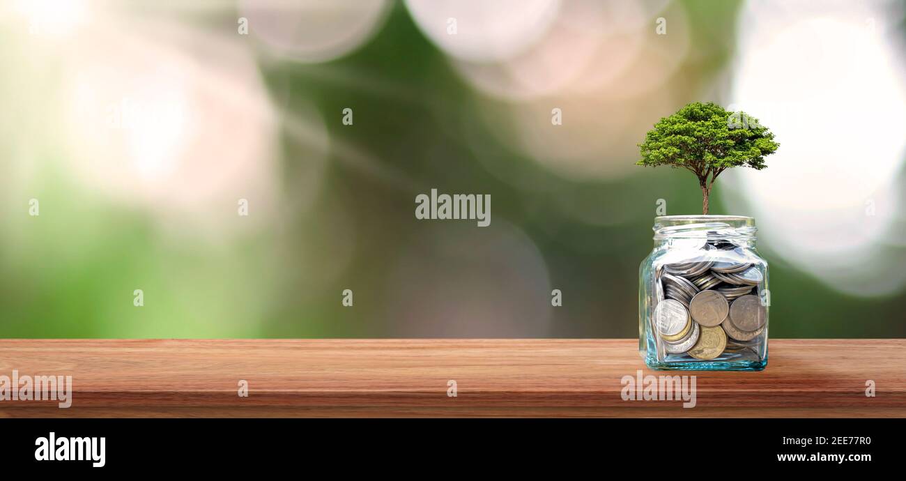 Contesto finanziario di affari. Piantando un albero su una bottiglia di moneta e pavimento di legno. Idee finanziarie e di crescita degli investimenti. Foto Stock