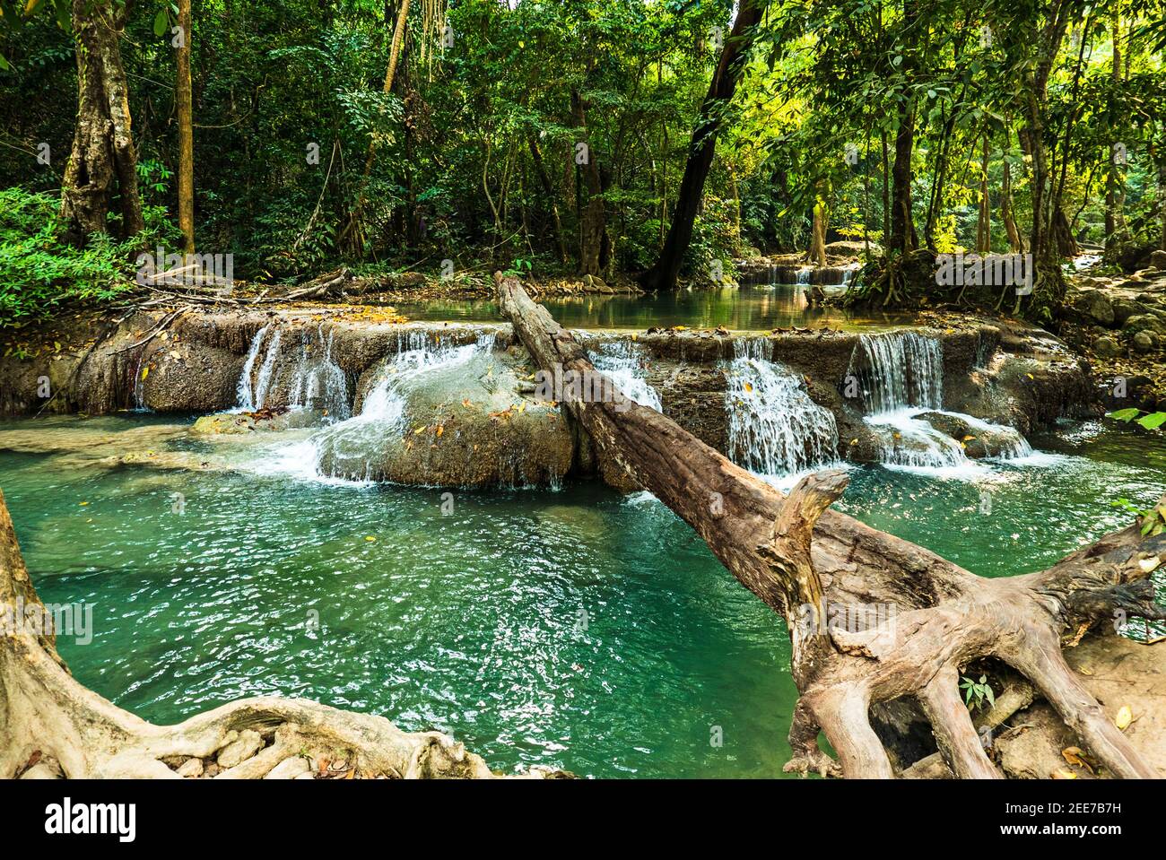 Foresta e cascata alla cascata Ton Nga Chang, Erawan, Songkhla, Thailandia. Attrazione turistica e famoso sightseeng, giungla naturale all'aperto paesaggio Foto Stock
