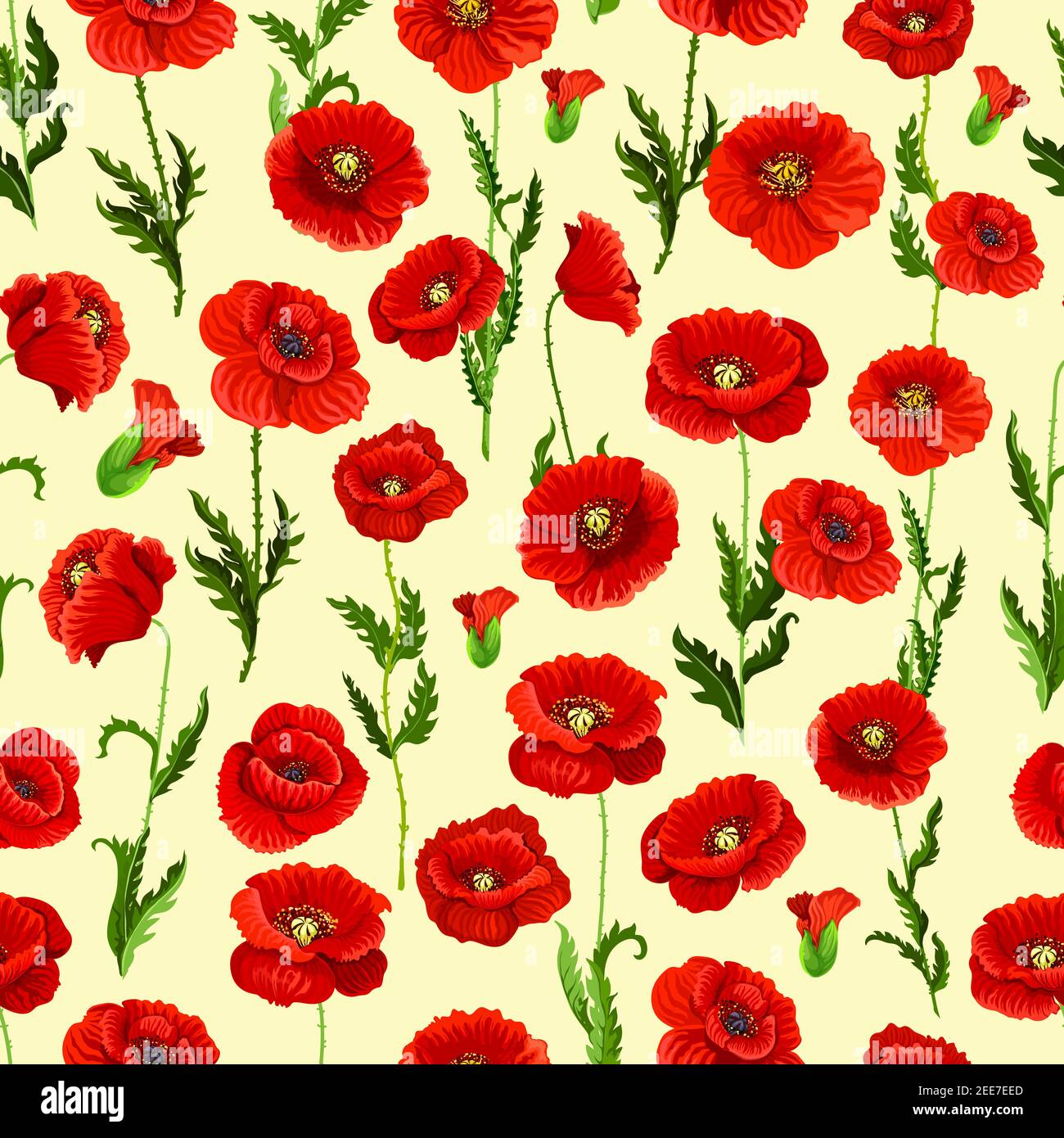 Fiore di primavera campo pattern seamless sfondo. Fiori di colore rosso di fioritura del papavero selvatico con stelo verde foglia, fiori e bocciolo. Motivo floreale per la carta da parati Illustrazione Vettoriale