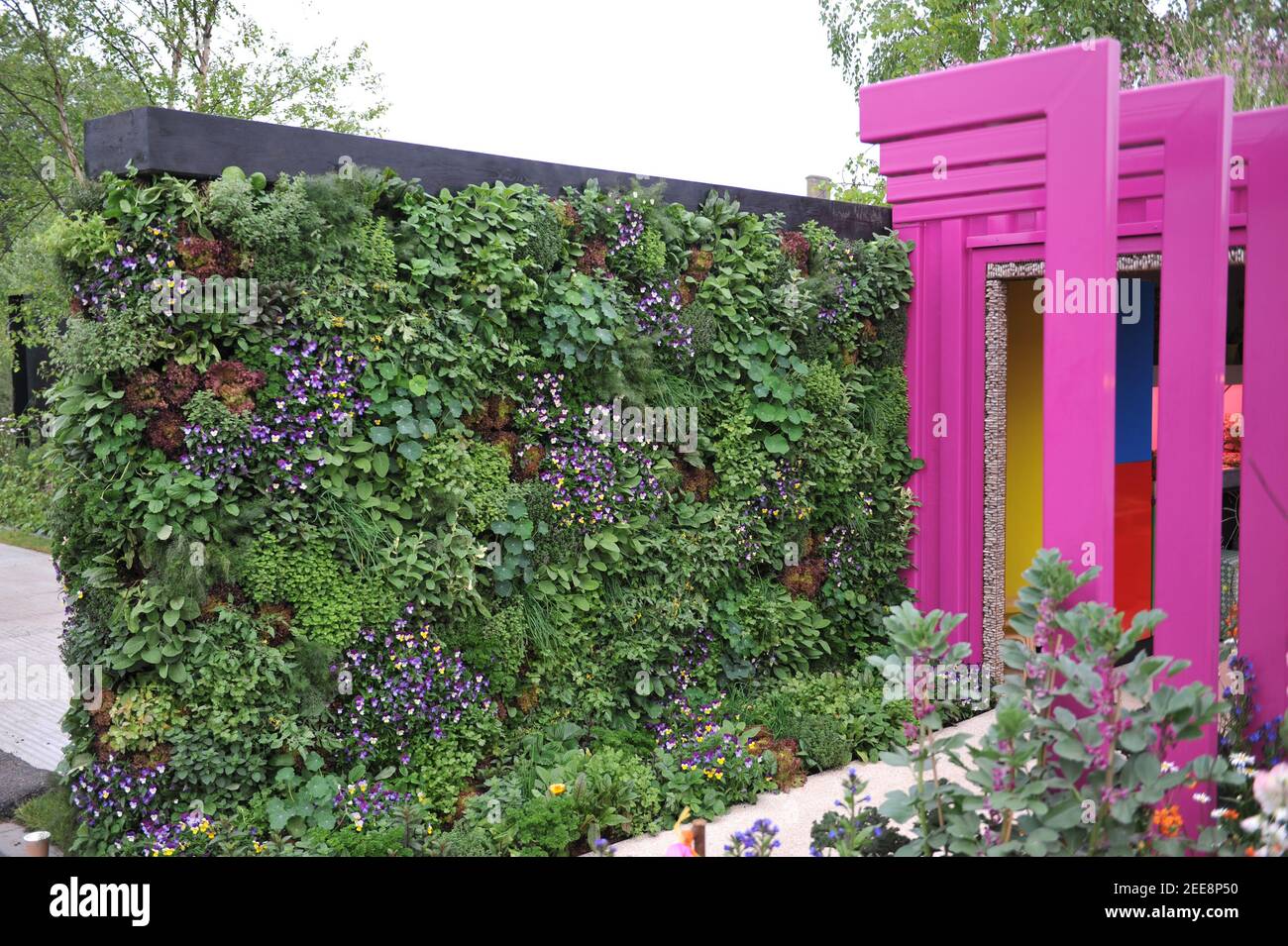 LONDRA, UK - 20 MAGGIO 2019: Parete verde commestibile fatta di fiori e verdure al Montessori Centenary Children's Garden al Chelsea Flower Show Foto Stock