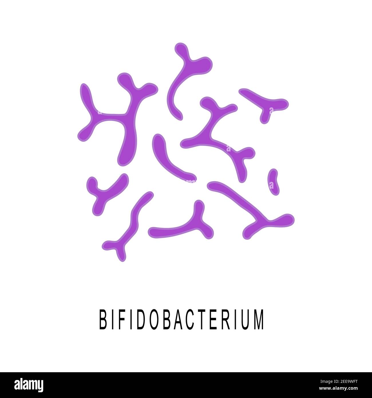 Colonia di bifidobatterio. Probiotici, batterie benefiche per la salute e la bellezza umana. Buoni microrganismi sotto microscop isolati su sfondo bianco. Illustrazione di cartoni animati vettoriali. Illustrazione Vettoriale