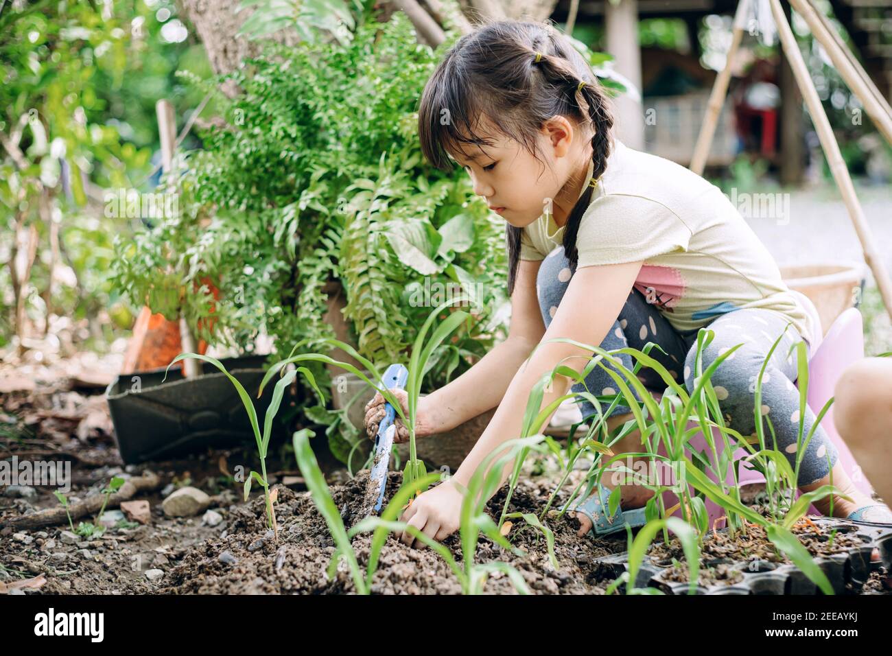 I bambini piccoli giocano ed esplorano nel giardino con il thier che piantano il germoglio. Concetto per il giardinaggio ecologico e la vita sostenibile. Foto Stock