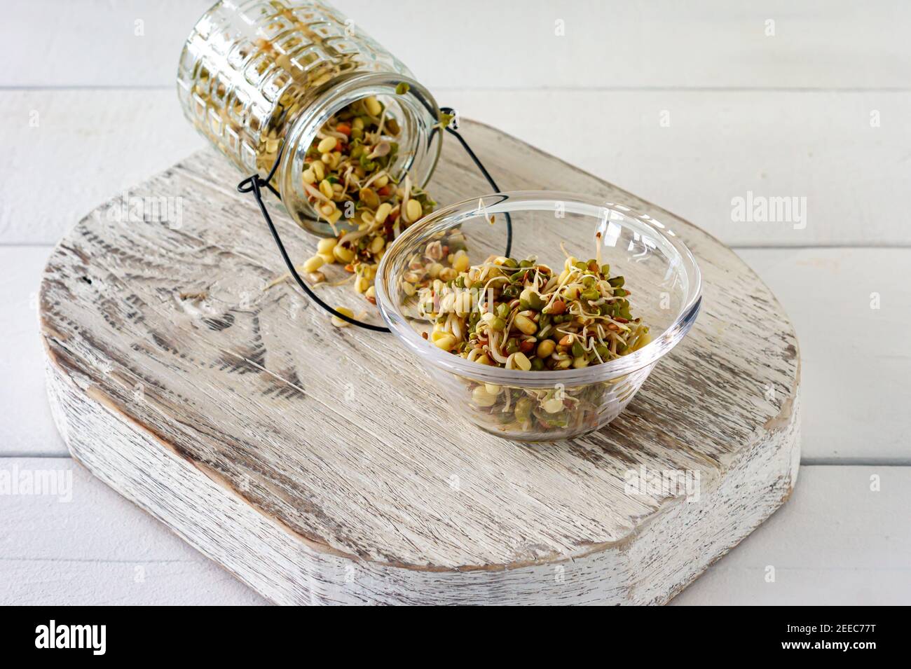 Fagioli di mungo germogliati in una ciotola su tavola bianca. Concetto sano, cibo macrobiotico Foto Stock