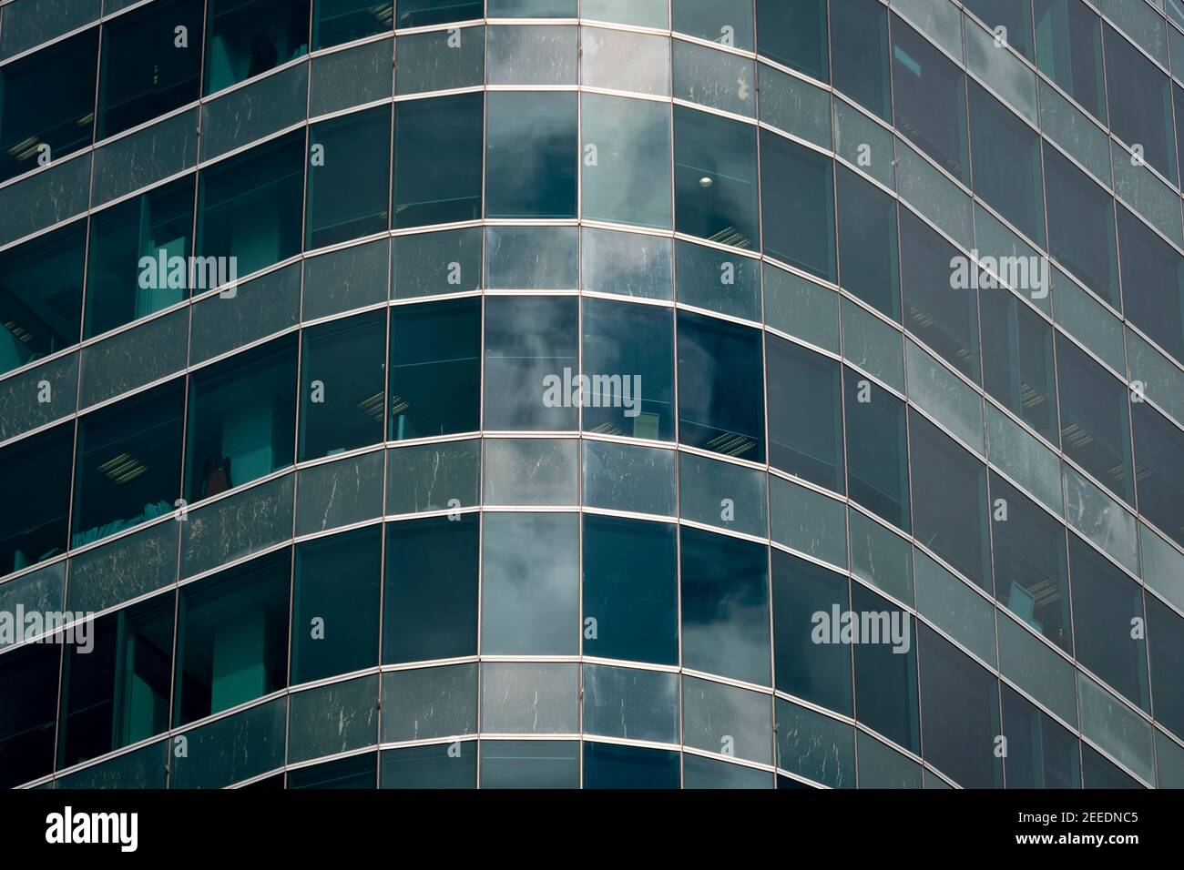 Alti edifici nel centro di Wellington, North Island, Nuova Zelanda Foto Stock
