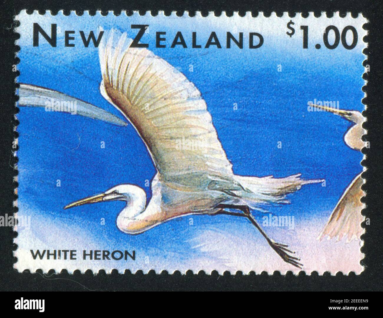 NUOVA ZELANDA - CIRCA 1996: Francobollo stampato dalla Nuova Zelanda, mostra airone, circa 1996 Foto Stock
