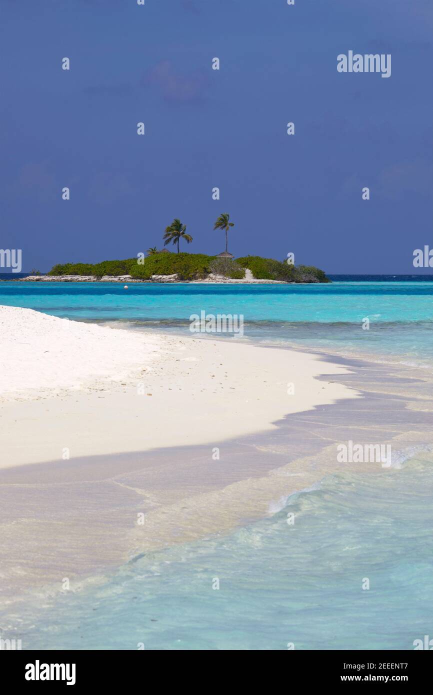 Spiaggia di Paradise Island (Lankanfinolhu), Maldive Foto Stock