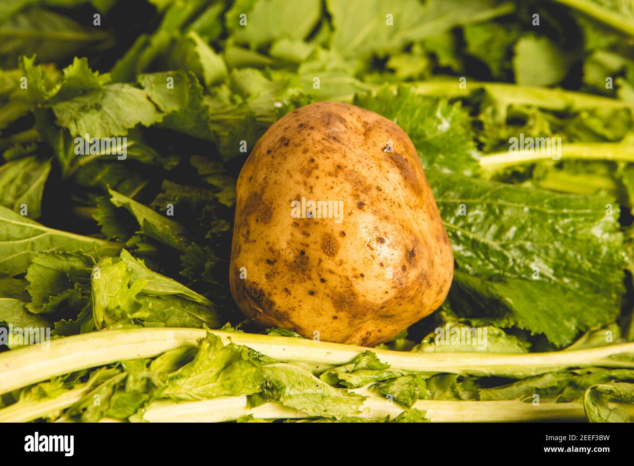 Patate galiziane circondate da verdi di rapa, ingredienti tipici piatti galiziani in carnevali Foto Stock