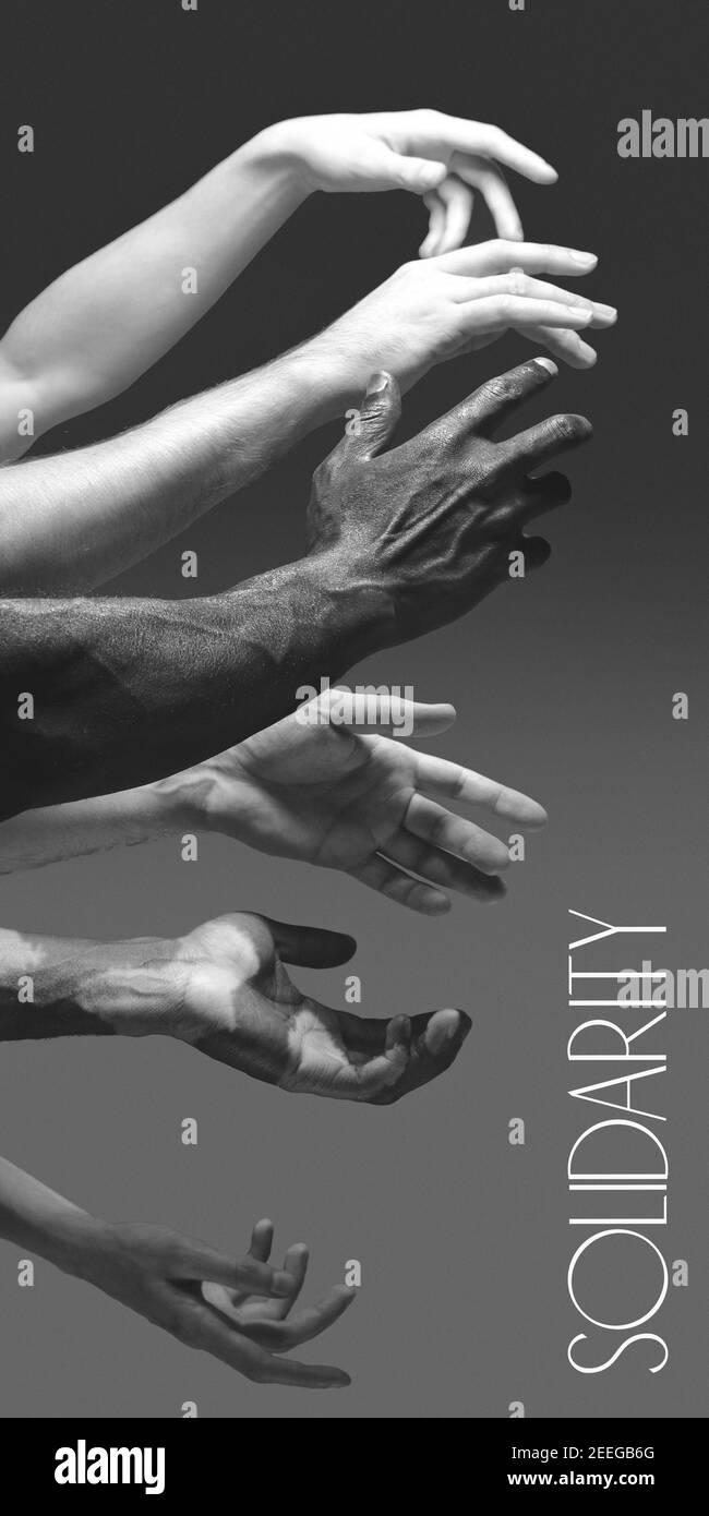 Solidarietà. Mani africane e caucasiche che gesturano su sfondo grigio studio. Tolleranza ed uguaglianza, unità, sostegno, gentilmente coesistenza insieme concetto. Comunità multirazziale in tutto il mondo. Volantino Foto Stock
