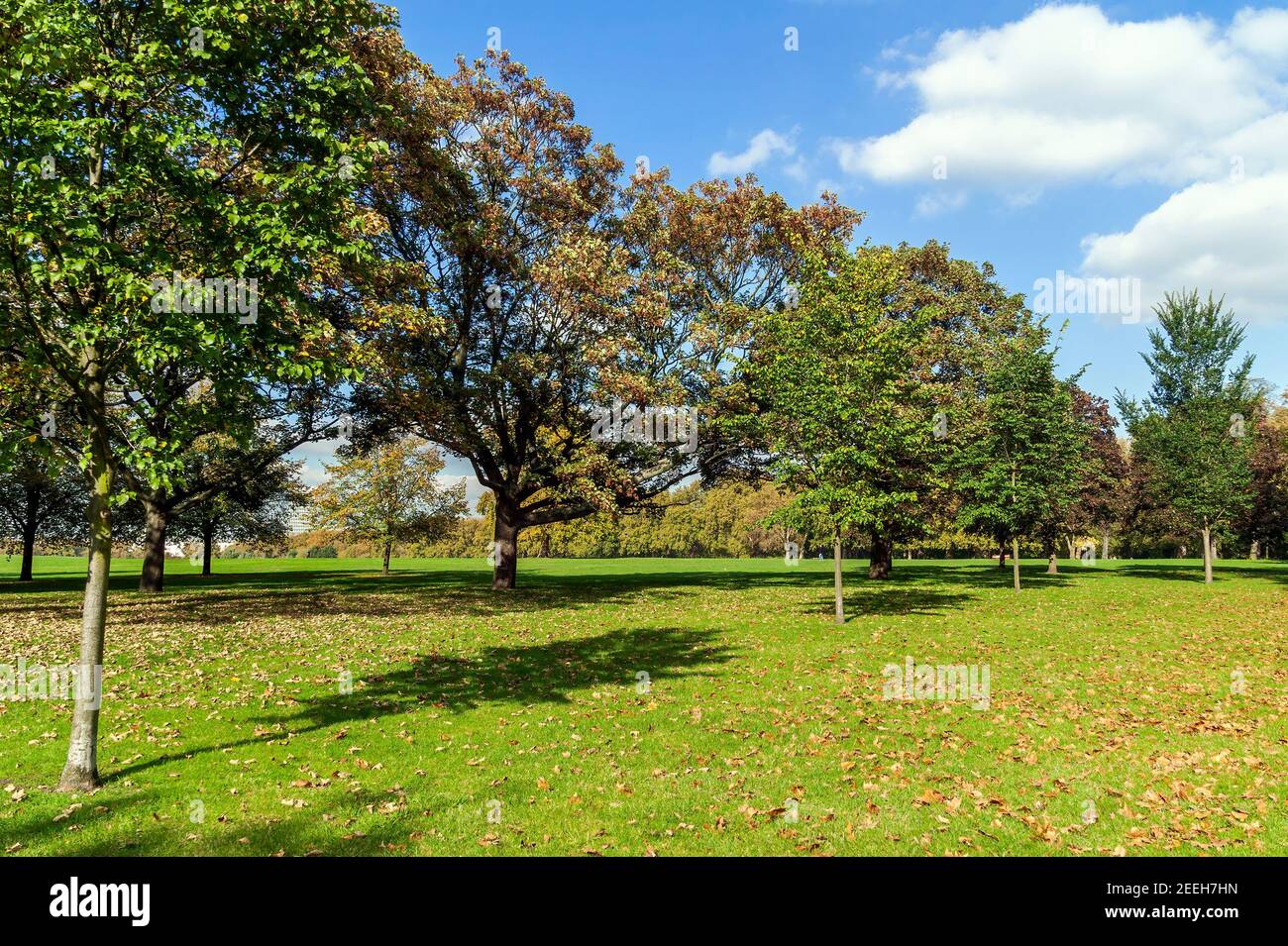 Hyde Park durante l'autunno a Londra Inghilterra UK, che è uno spazio pubblico aperto e una popolare destinazione turistica attrazione punto di riferimento, stock Foto Stock