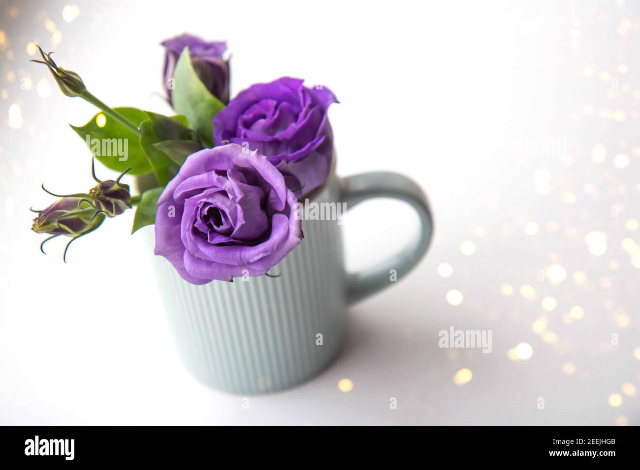Belle rose viola in una tazza blu su uno sfondo chiaro. Primo piano. Sfondo con spazio di copia Foto Stock