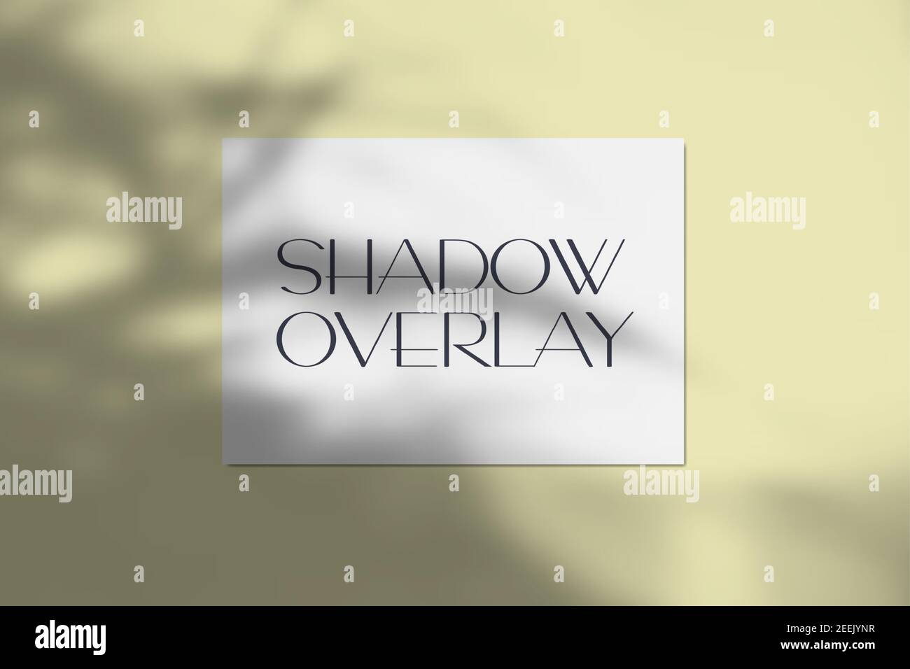 Illustrazione vettoriale del mockup di carta a4 con effetto di sovrapposizione delle ombre tropicali realistico. Offuscata luce chiara e trasparente ombra da foglie di albero con Illustrazione Vettoriale