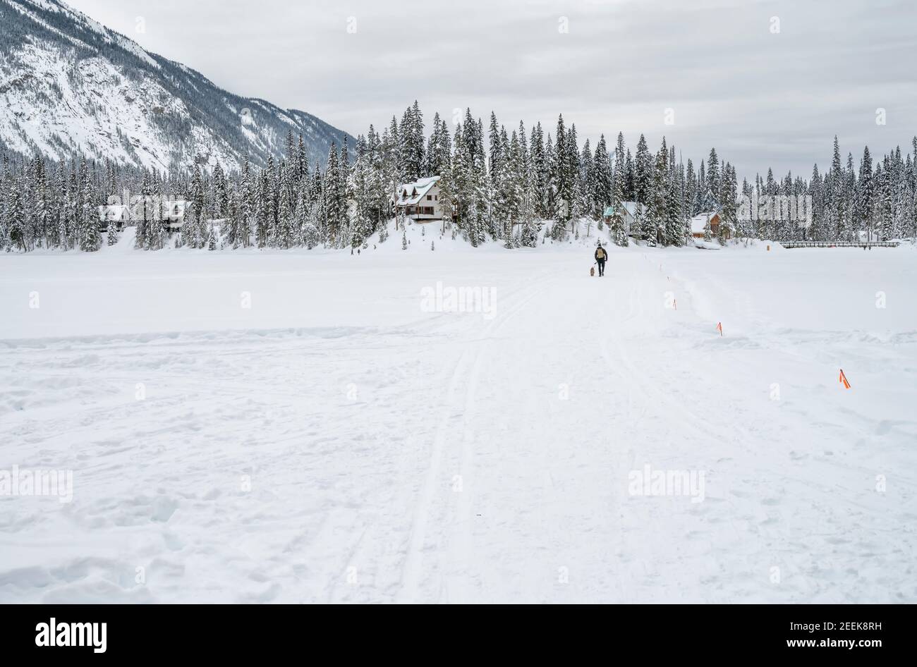 Un uomo cammina un cane attraverso il lago Surgelato nel Parco Nazionale di Yoho, British Columbia, Canada Foto Stock